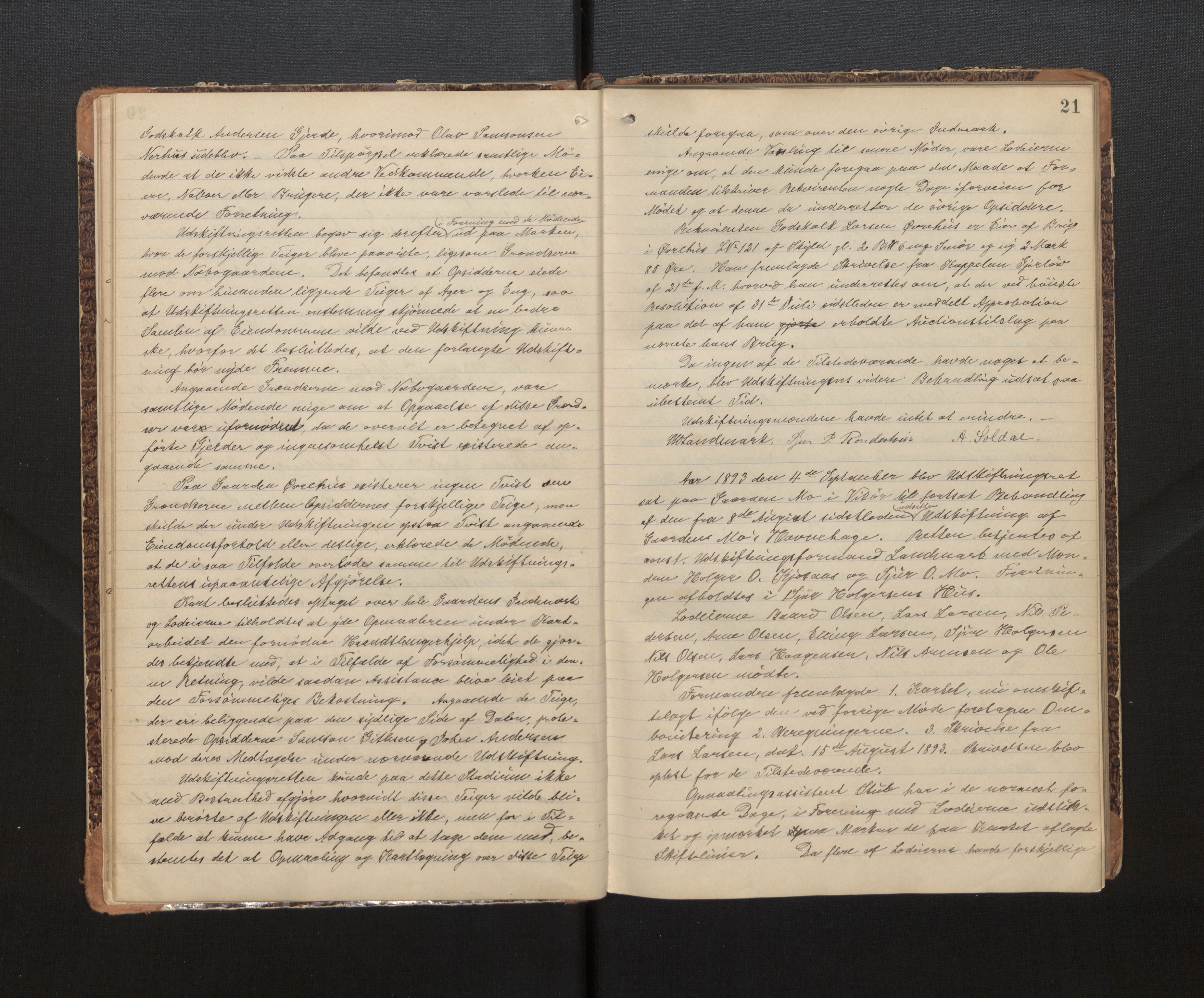 Hordaland jordskiftedøme - IV Hardanger jordskiftedistrikt, AV/SAB-A-7101/A/Aa/L0014: Forhandlingsprotokoll, 1892-1895, p. 20b-21a