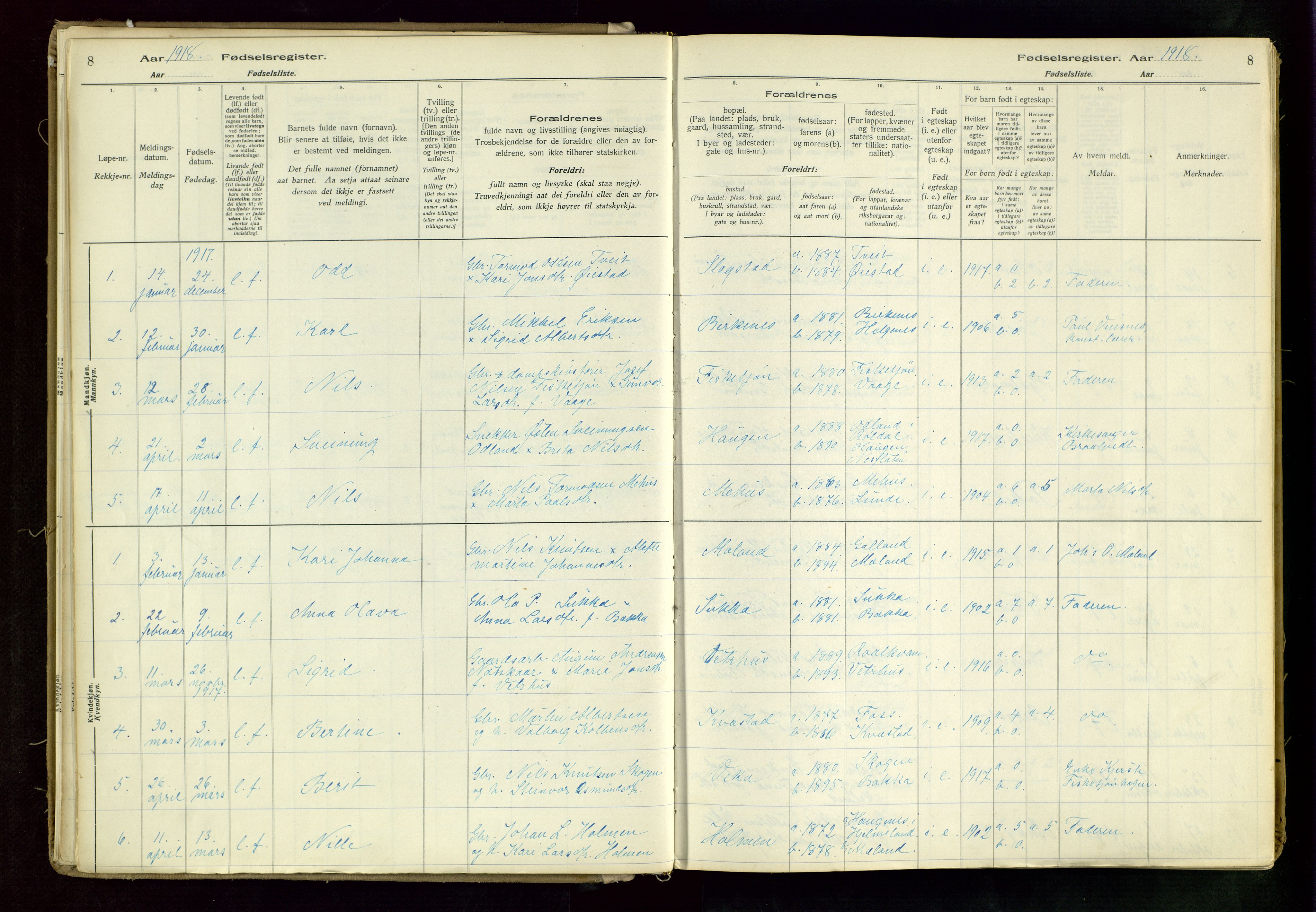 Suldal sokneprestkontor, AV/SAST-A-101845/03/A/L0002: Birth register no. 2, 1916-1982, p. 8