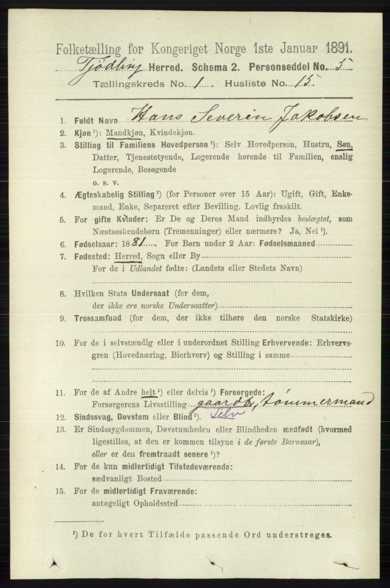 RA, 1891 census for 0725 Tjølling, 1891, p. 186