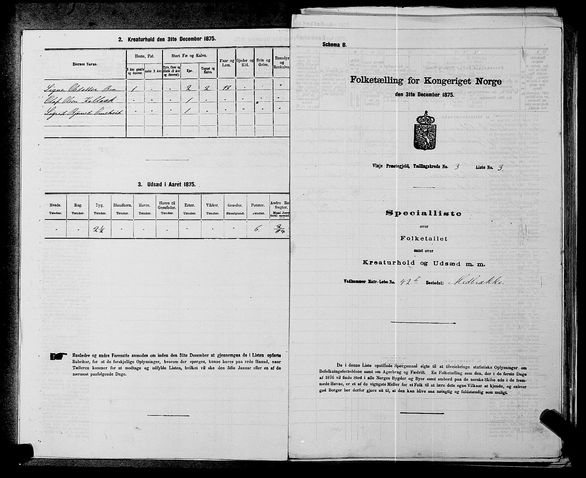 SAKO, 1875 census for 0834P Vinje, 1875, p. 231