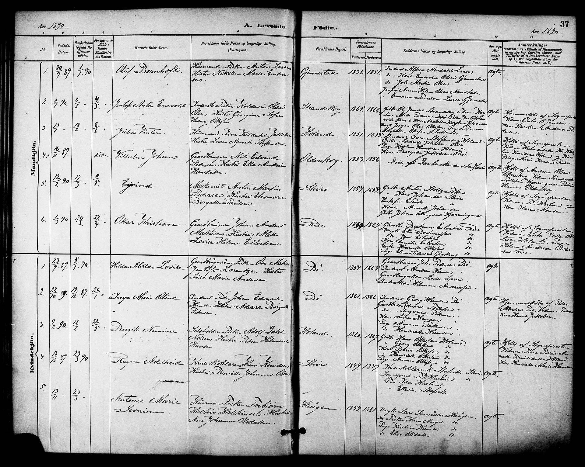 Ministerialprotokoller, klokkerbøker og fødselsregistre - Nordland, AV/SAT-A-1459/895/L1371: Parish register (official) no. 895A06, 1885-1894, p. 37