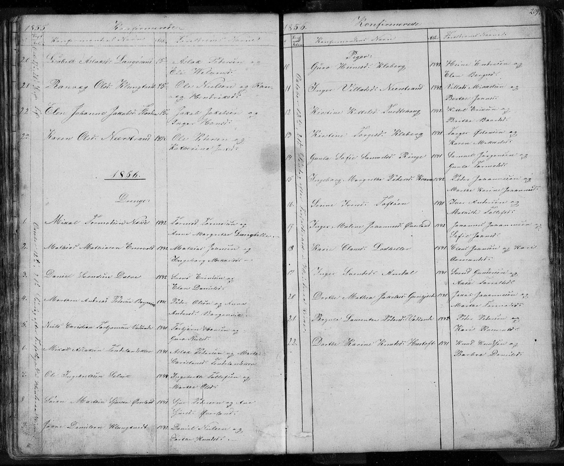 Nedstrand sokneprestkontor, SAST/A-101841/01/V: Parish register (copy) no. B 3, 1848-1933, p. 209