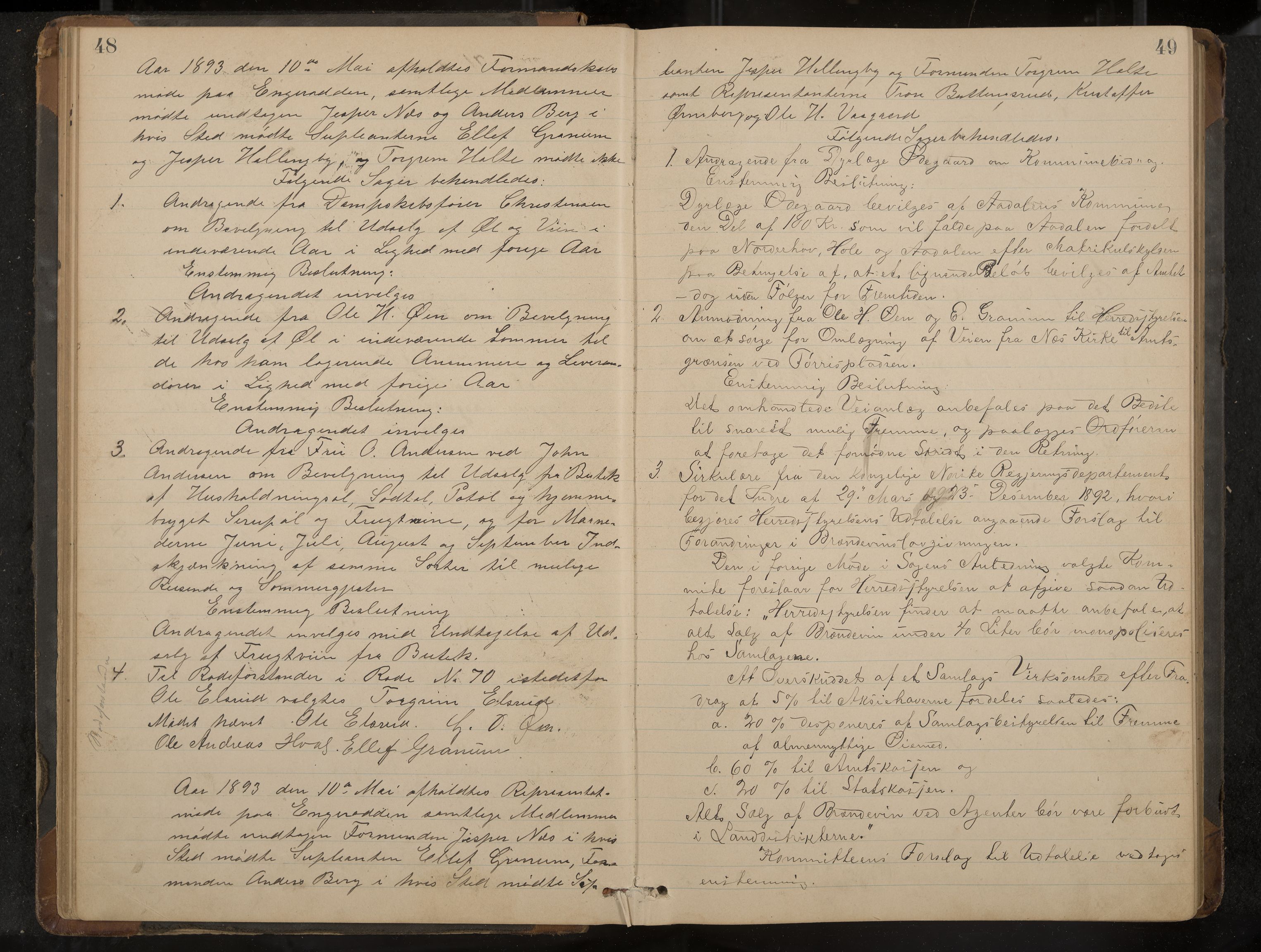 Ådal formannskap og sentraladministrasjon, IKAK/0614021/A/Aa/L0002: Møtebok, 1891-1907, p. 48-49