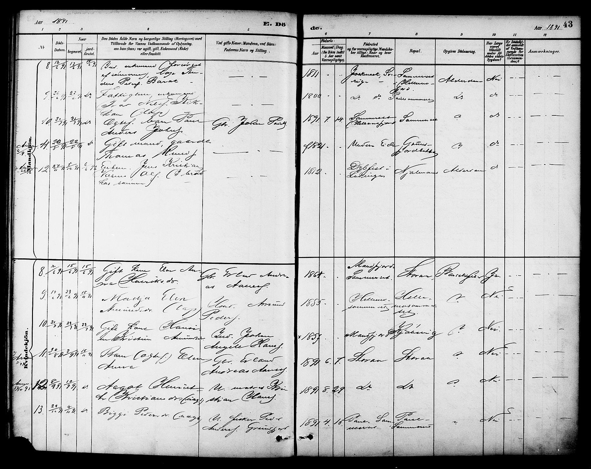 Ministerialprotokoller, klokkerbøker og fødselsregistre - Nordland, AV/SAT-A-1459/861/L0870: Parish register (official) no. 861A05, 1889-1903, p. 43