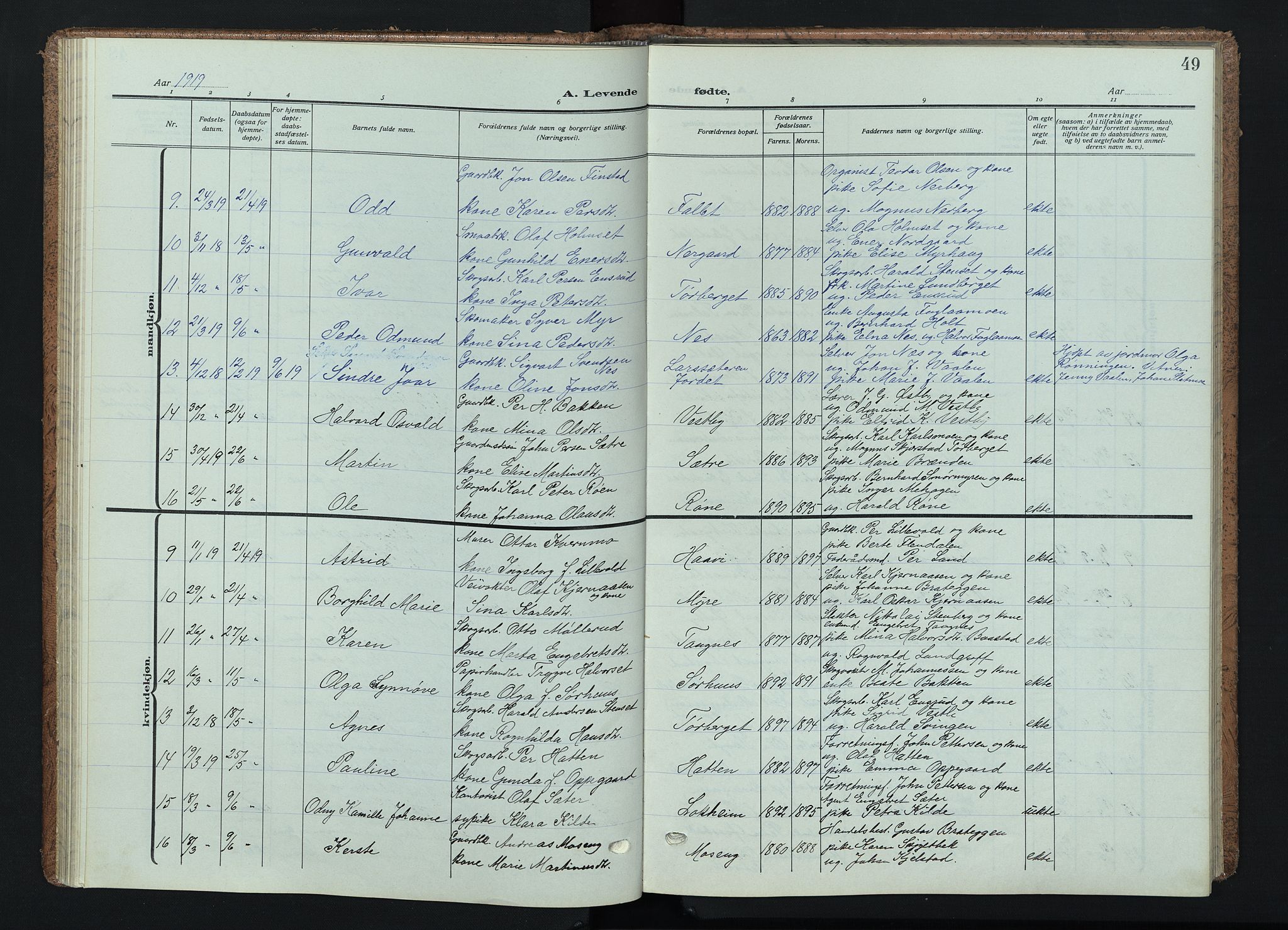 Trysil prestekontor, SAH/PREST-046/H/Ha/Haa/L0015: Parish register (official) no. 15, 1913-1934, p. 49