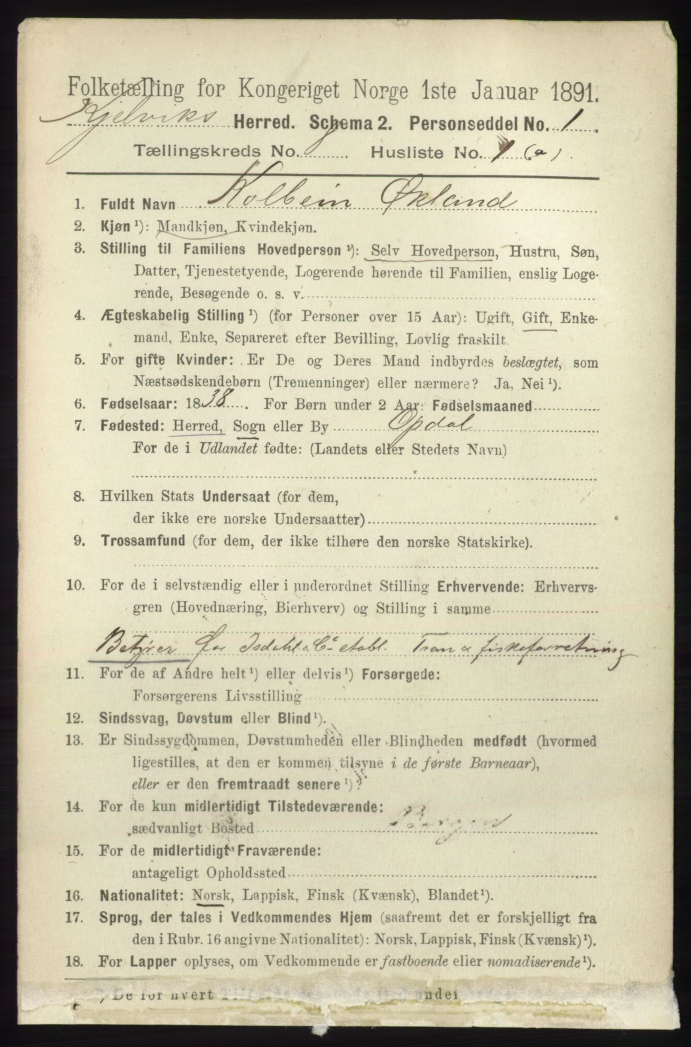 RA, 1891 census for 2019 Kjelvik, 1891, p. 1175