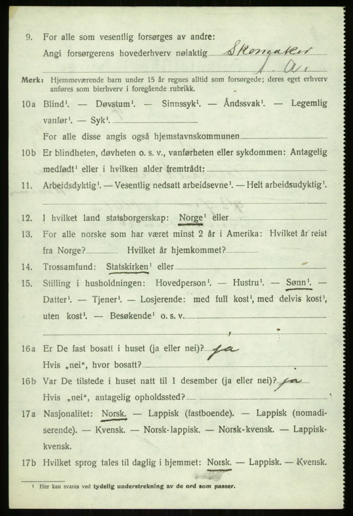 SATØ, 1920 census for Tromsøysund, 1920, p. 7217