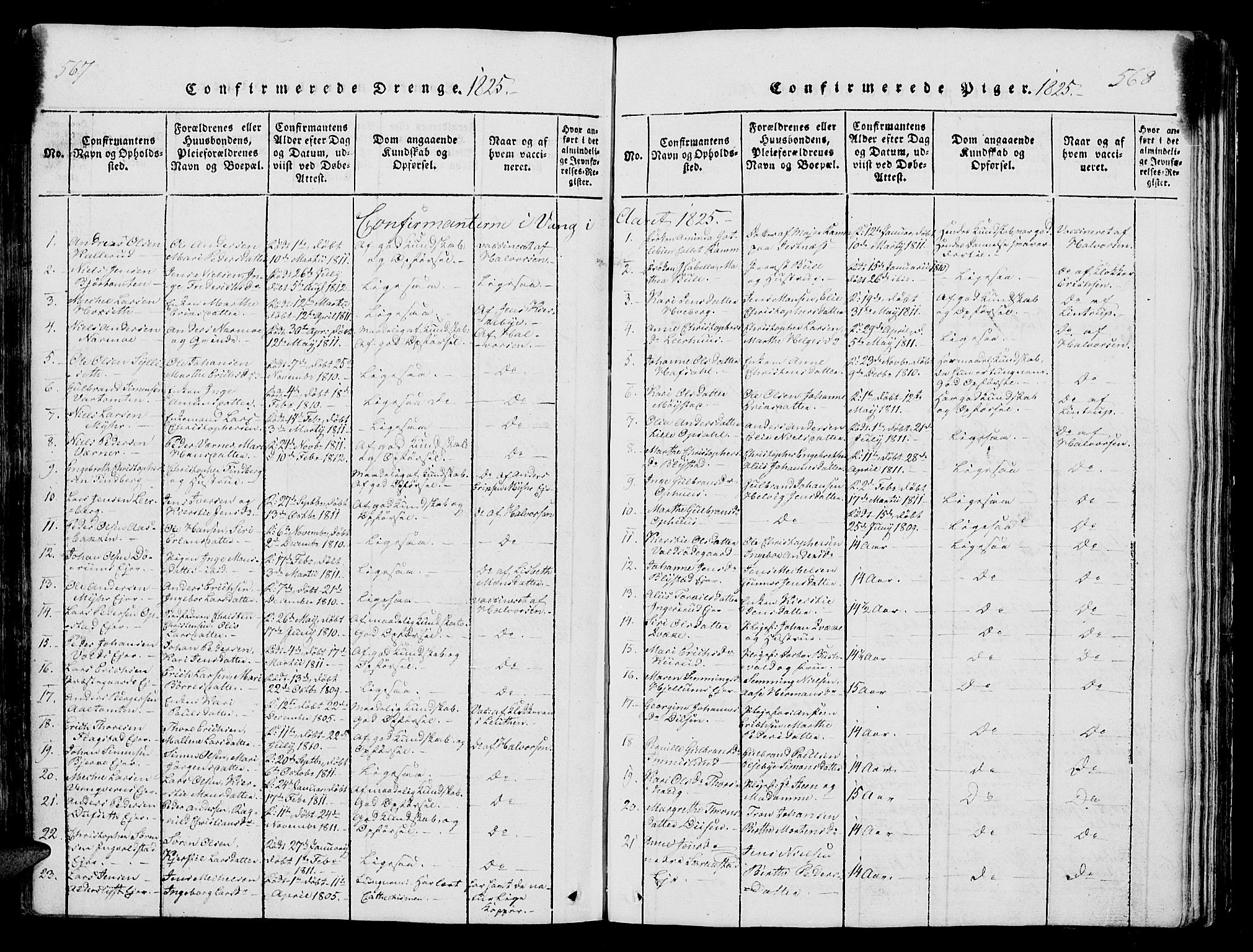 Vang prestekontor, Hedmark, SAH/PREST-008/H/Ha/Hab/L0004: Parish register (copy) no. 4, 1813-1827, p. 567-568