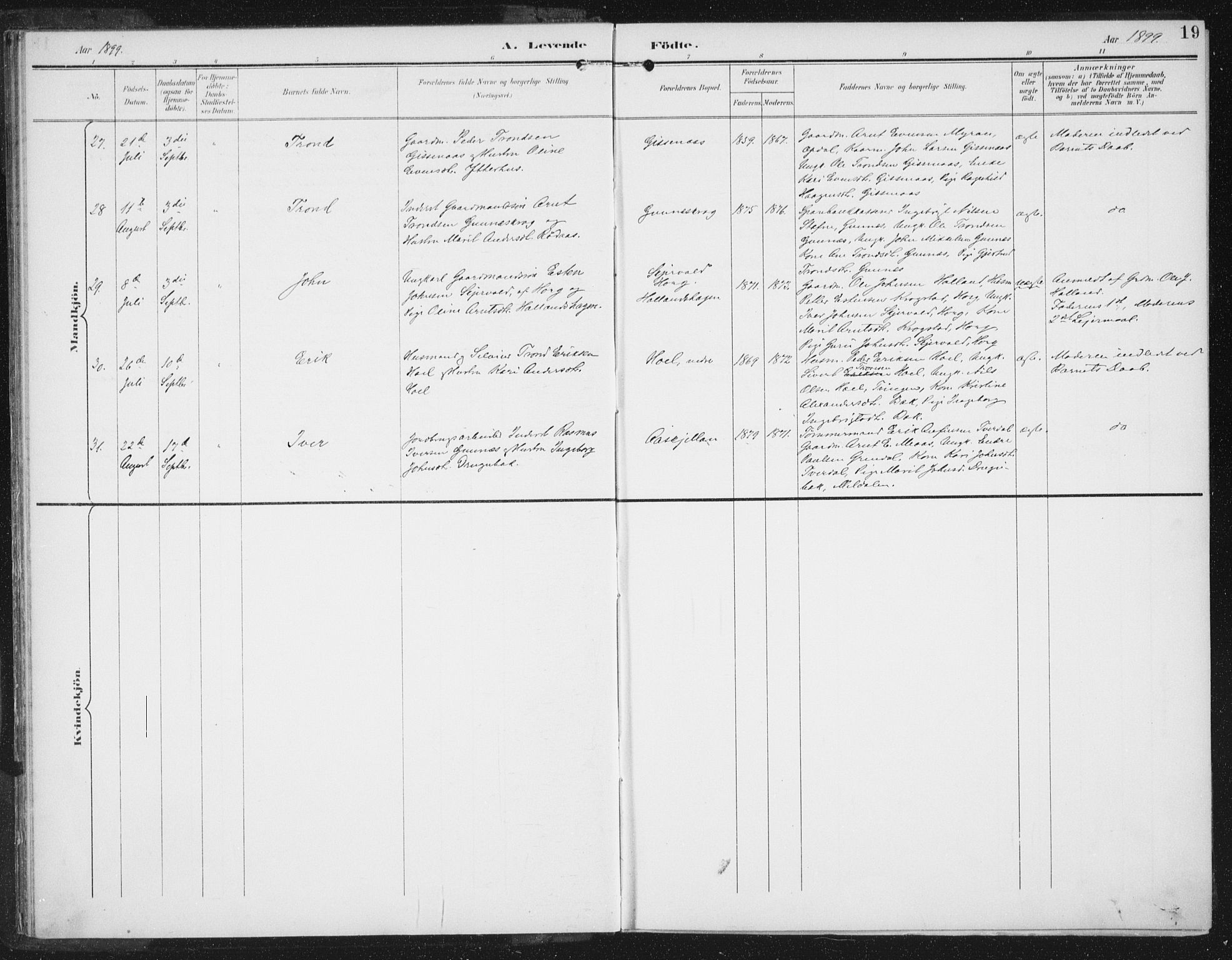 Ministerialprotokoller, klokkerbøker og fødselsregistre - Sør-Trøndelag, AV/SAT-A-1456/674/L0872: Parish register (official) no. 674A04, 1897-1907, p. 19