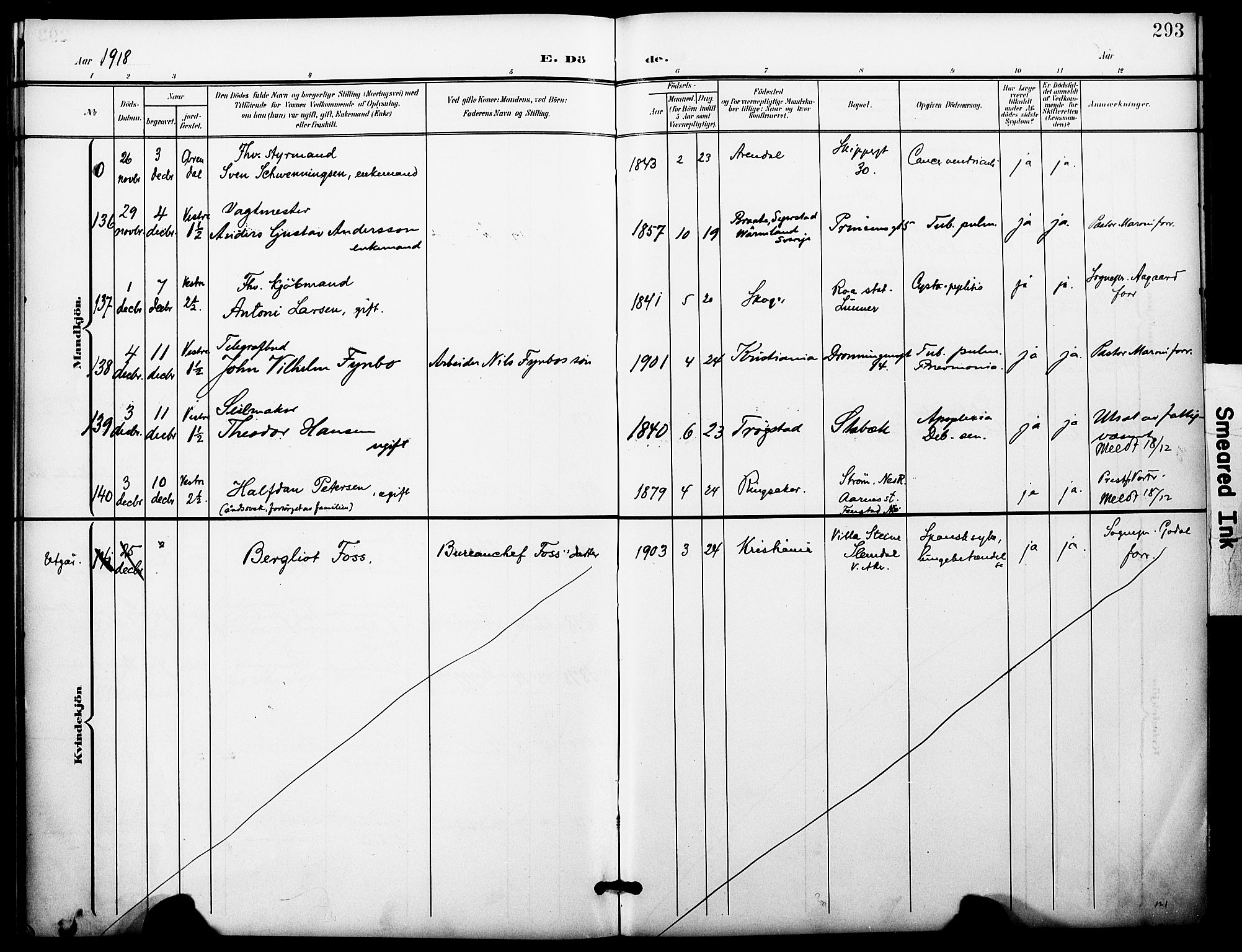 Oslo domkirke Kirkebøker, AV/SAO-A-10752/F/Fa/L0036: Parish register (official) no. 36, 1901-1919, p. 293