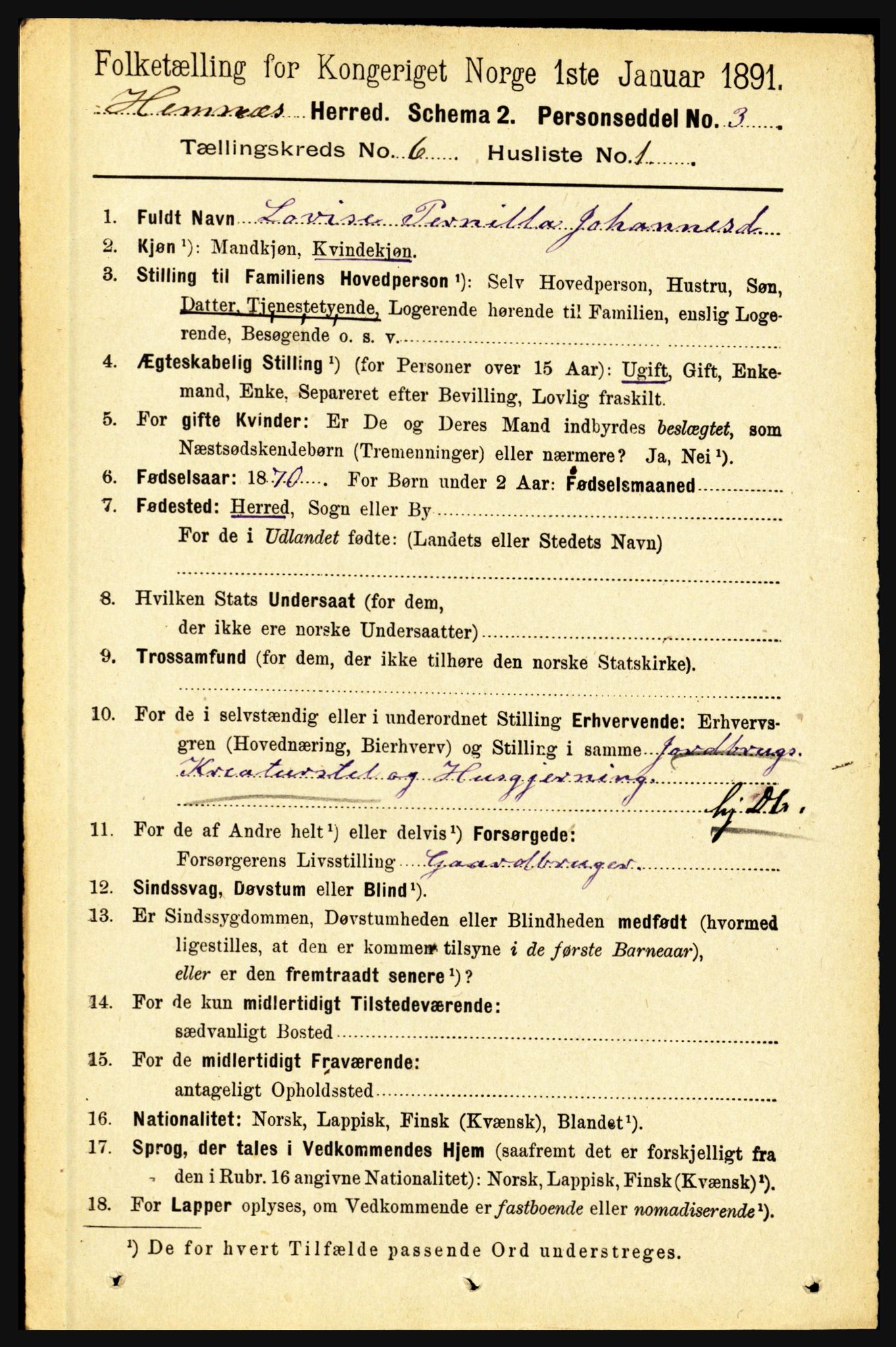 RA, 1891 census for 1832 Hemnes, 1891, p. 2934