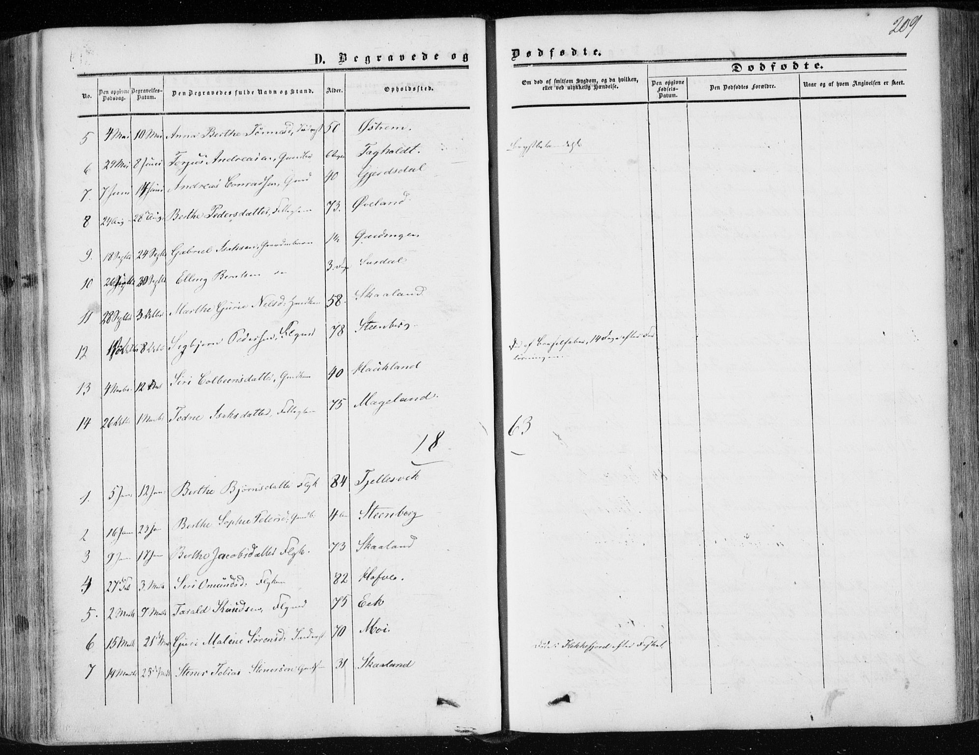 Lund sokneprestkontor, AV/SAST-A-101809/S06/L0009: Parish register (official) no. A 8, 1853-1877, p. 209