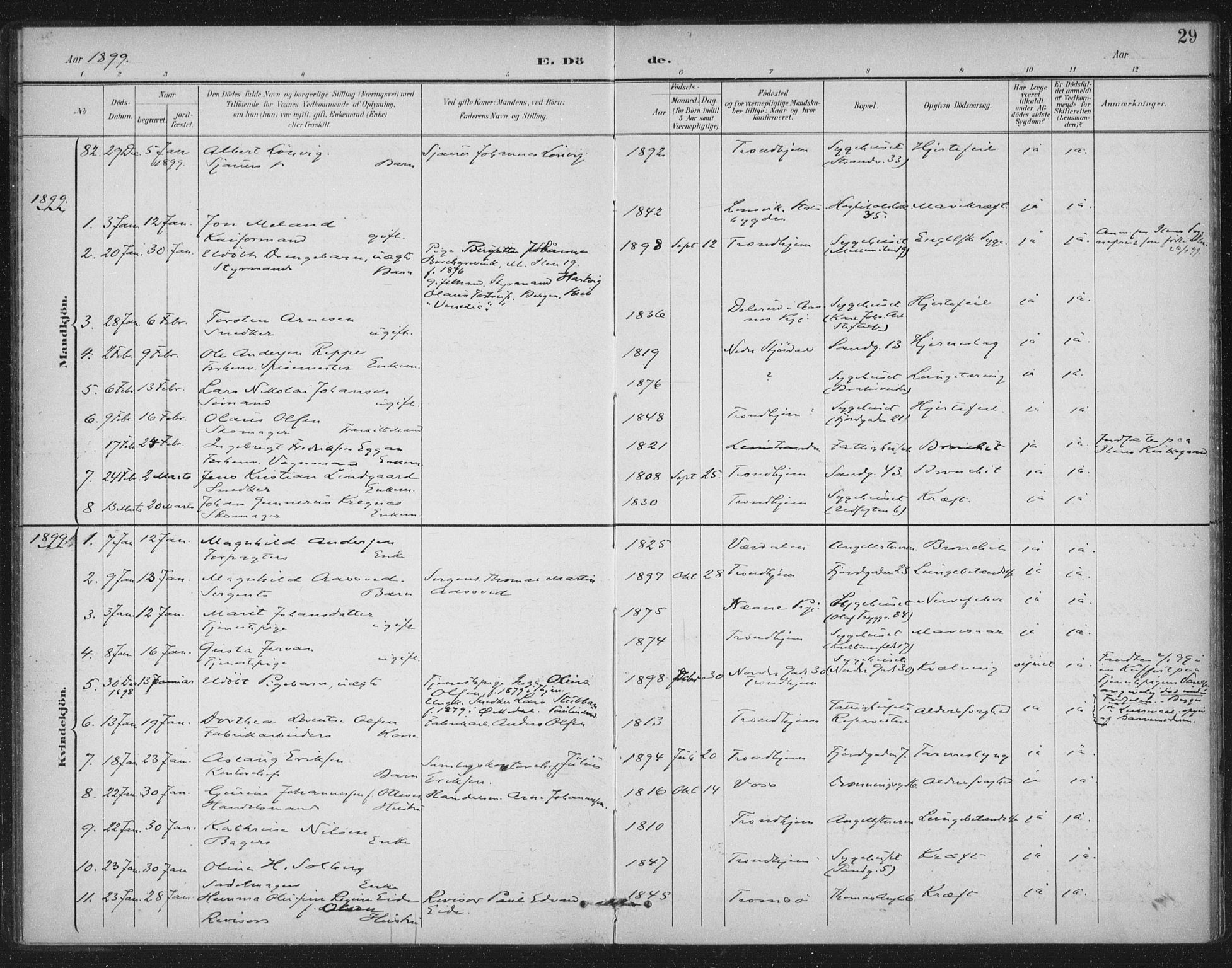 Ministerialprotokoller, klokkerbøker og fødselsregistre - Sør-Trøndelag, SAT/A-1456/602/L0123: Parish register (official) no. 602A21, 1895-1910, p. 29