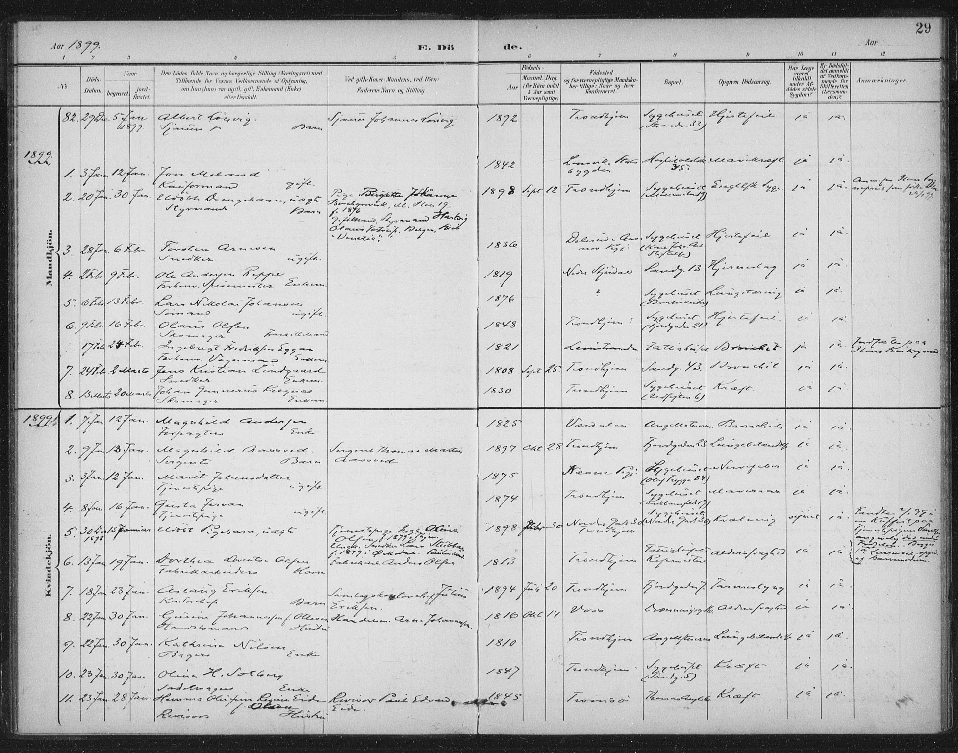 Ministerialprotokoller, klokkerbøker og fødselsregistre - Sør-Trøndelag, AV/SAT-A-1456/602/L0123: Parish register (official) no. 602A21, 1895-1910, p. 29