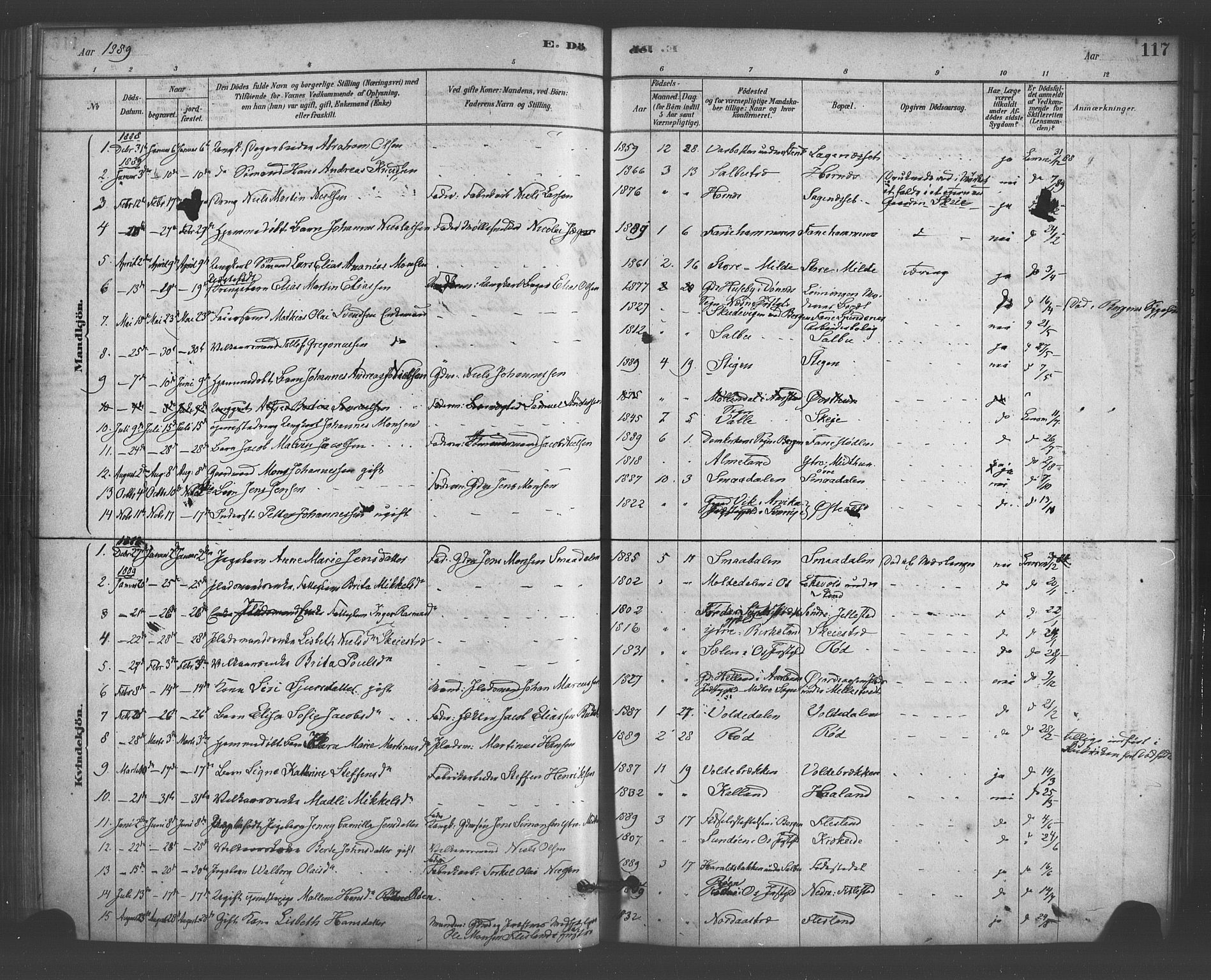 Fana Sokneprestembete, AV/SAB-A-75101/H/Haa/Haab/L0001: Parish register (official) no. B 1, 1878-1889, p. 117