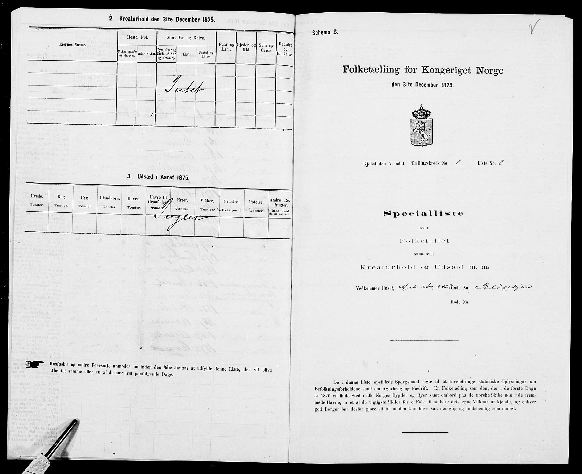 SAK, 1875 census for 0903P Arendal, 1875, p. 25