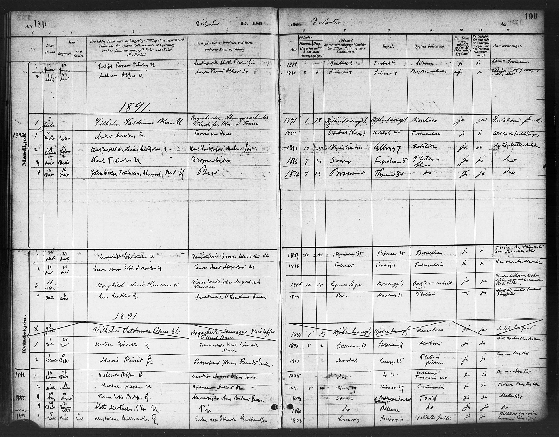 Petrus prestekontor Kirkebøker, SAO/A-10872/F/Fa/L0003: Parish register (official) no. 3, 1885-1903, p. 196