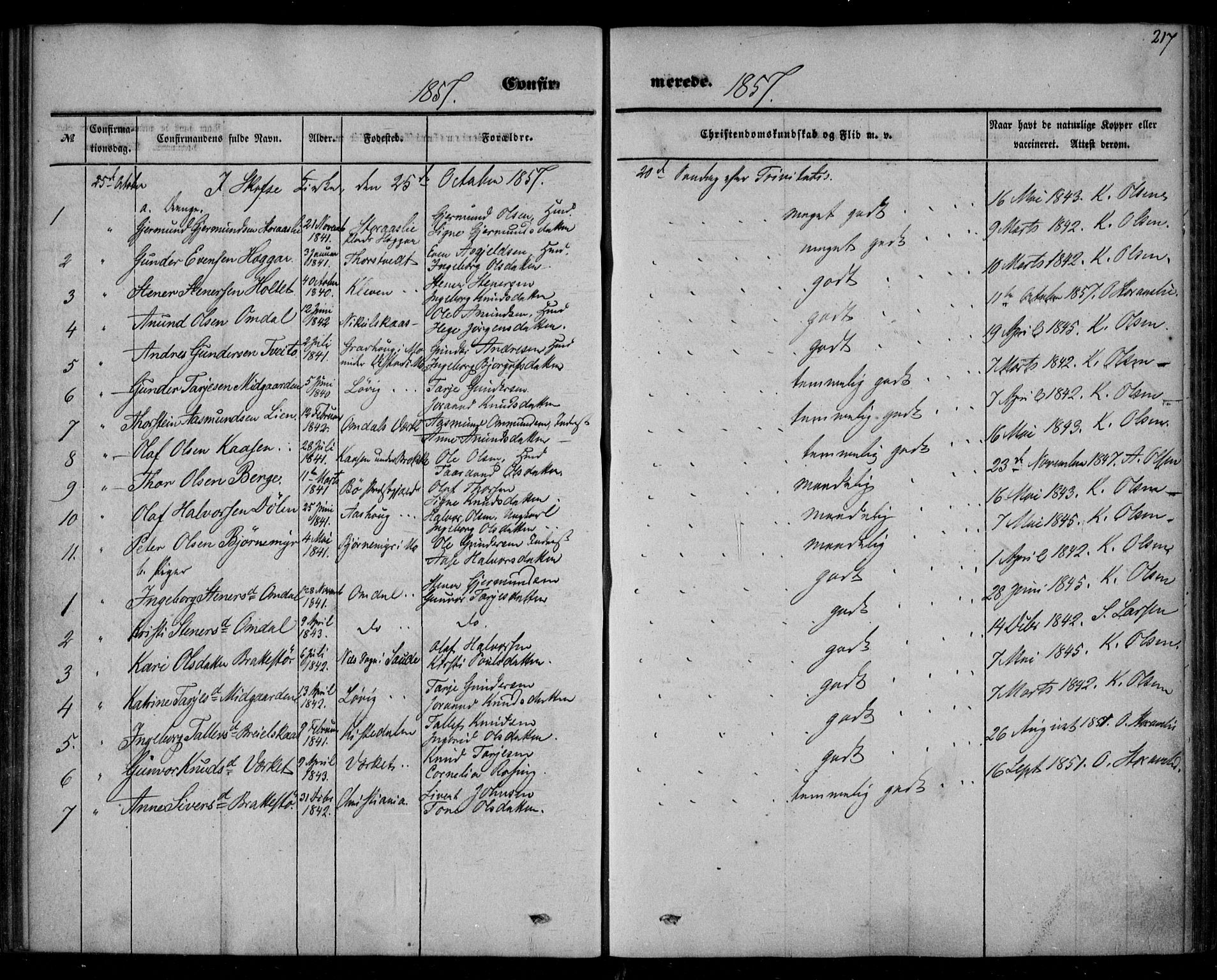 Mo kirkebøker, AV/SAKO-A-286/F/Fa/L0005: Parish register (official) no. I 5, 1844-1864, p. 217