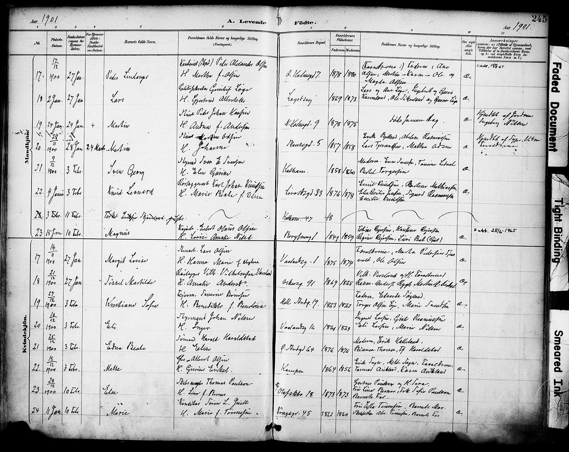 Domkirken sokneprestkontor, AV/SAST-A-101812/001/30/30BA/L0030: Parish register (official) no. A 29, 1889-1902, p. 245