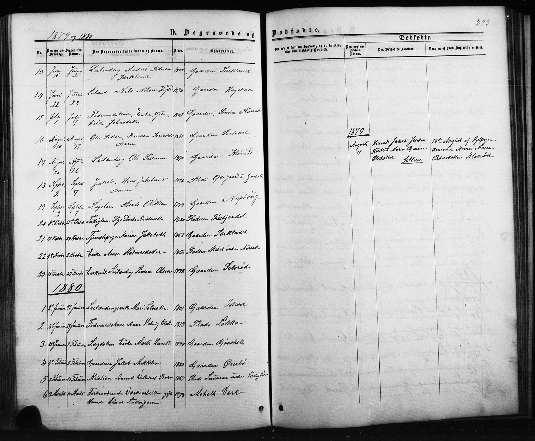 Siljan kirkebøker, AV/SAKO-A-300/G/Ga/L0002: Parish register (copy) no. 2, 1864-1908, p. 243