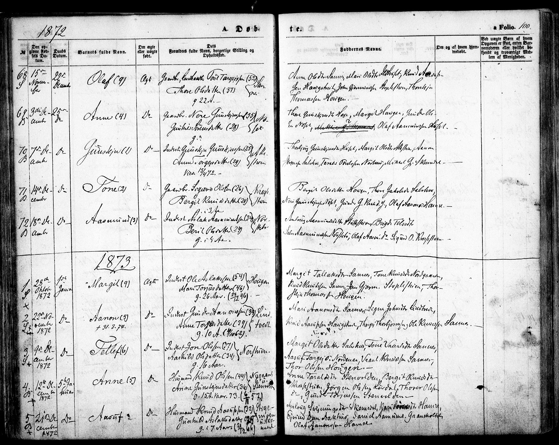 Bygland sokneprestkontor, SAK/1111-0006/F/Fa/Fab/L0005: Parish register (official) no. A 5, 1859-1873, p. 100