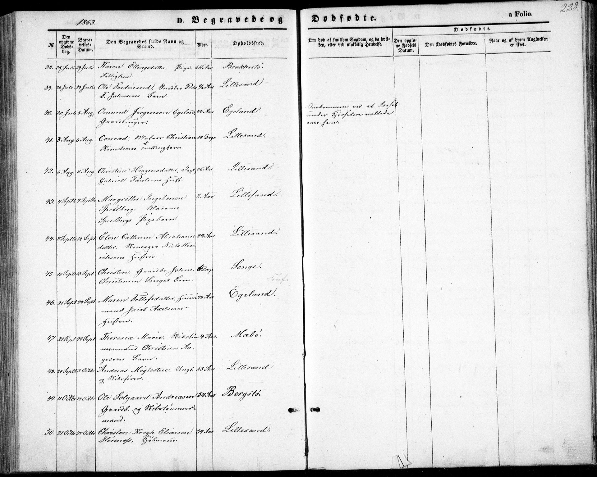 Vestre Moland sokneprestkontor, AV/SAK-1111-0046/F/Fb/Fbb/L0004: Parish register (copy) no. B 4, 1861-1872, p. 228