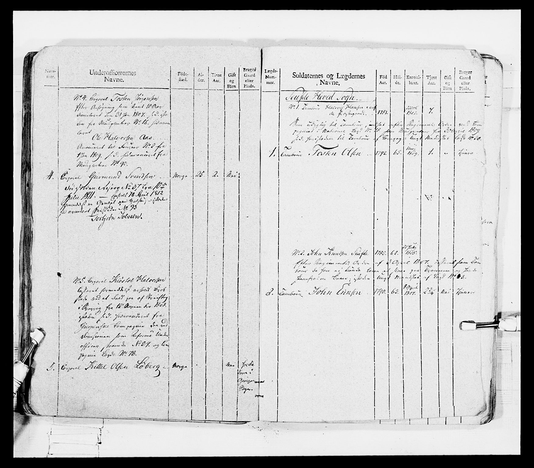 Generalitets- og kommissariatskollegiet, Det kongelige norske kommissariatskollegium, AV/RA-EA-5420/E/Eh/L0116: Telemarkske nasjonale infanteriregiment, 1810, p. 358