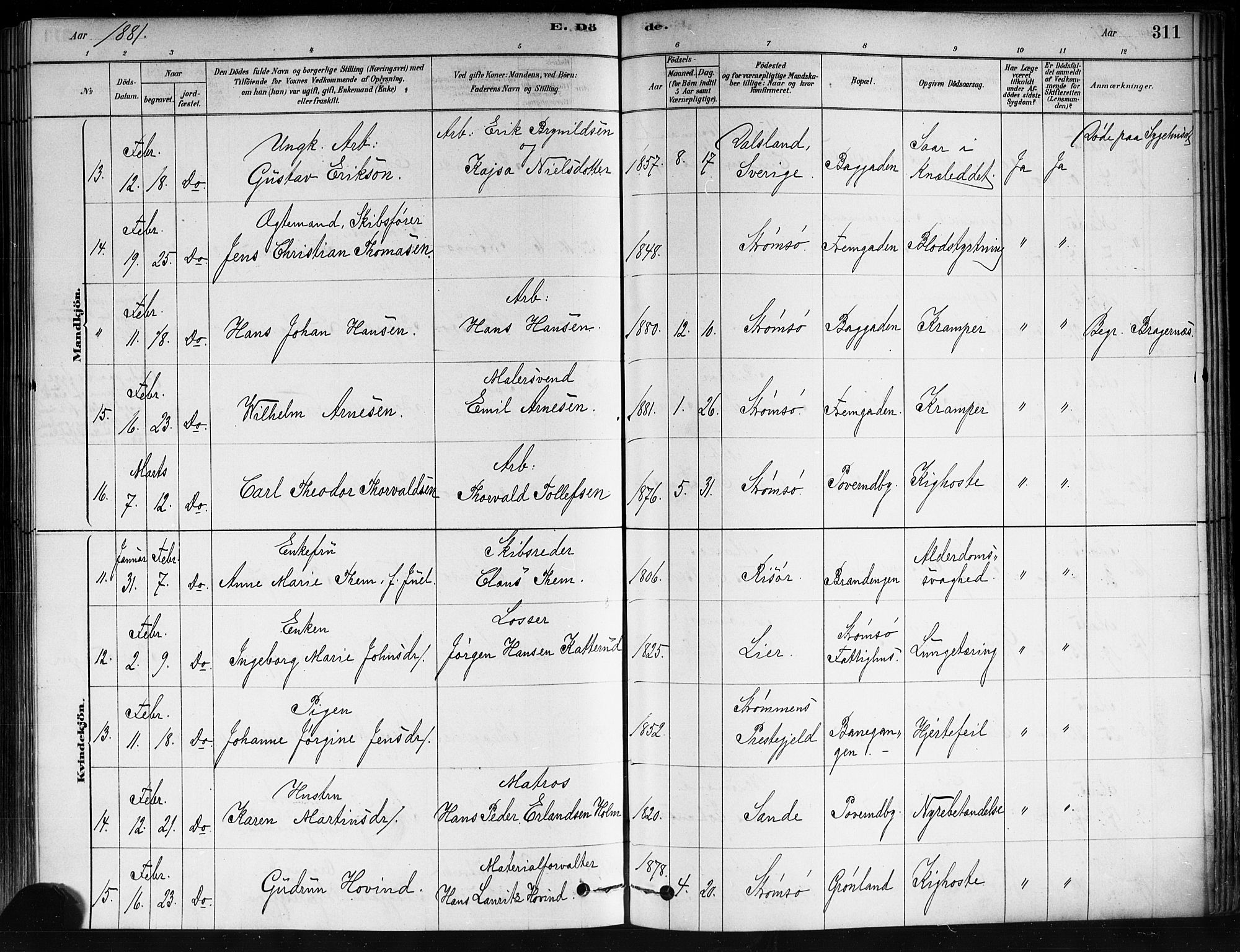 Strømsø kirkebøker, AV/SAKO-A-246/F/Fa/L0021: Parish register (official) no. I 21, 1878-1885, p. 311