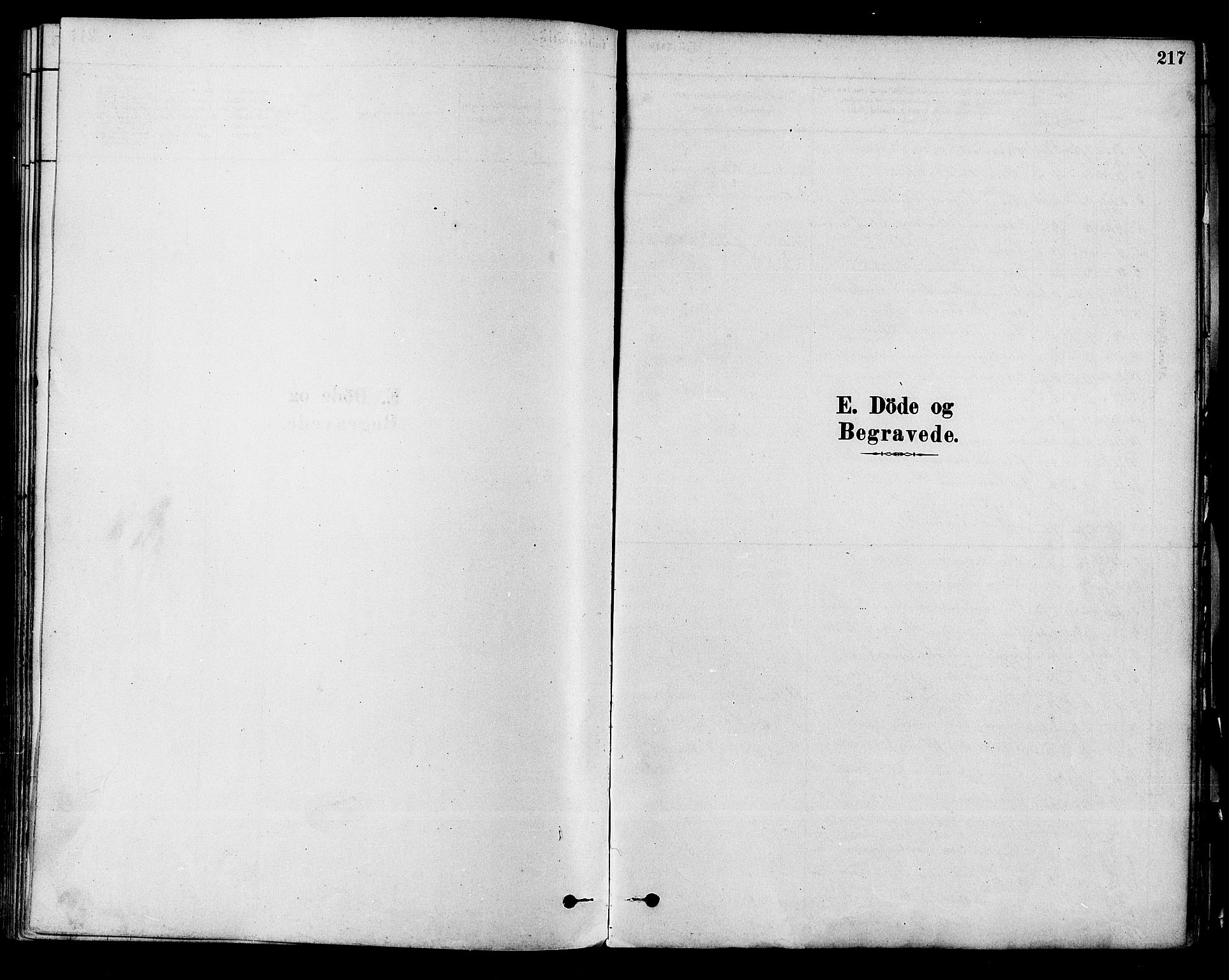 Modum kirkebøker, AV/SAKO-A-234/F/Fa/L0011: Parish register (official) no. 11, 1877-1889, p. 217