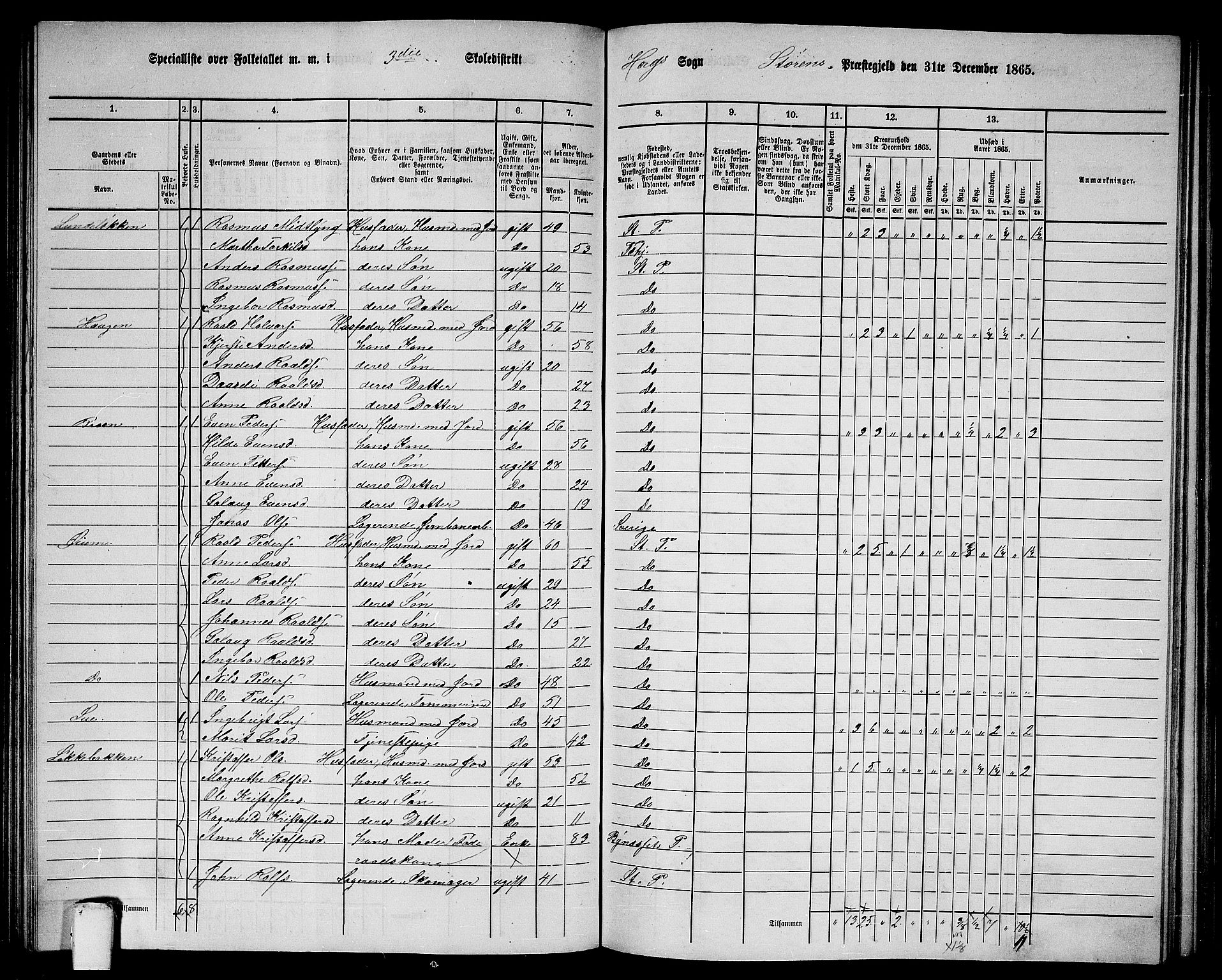 RA, 1865 census for Støren, 1865, p. 157