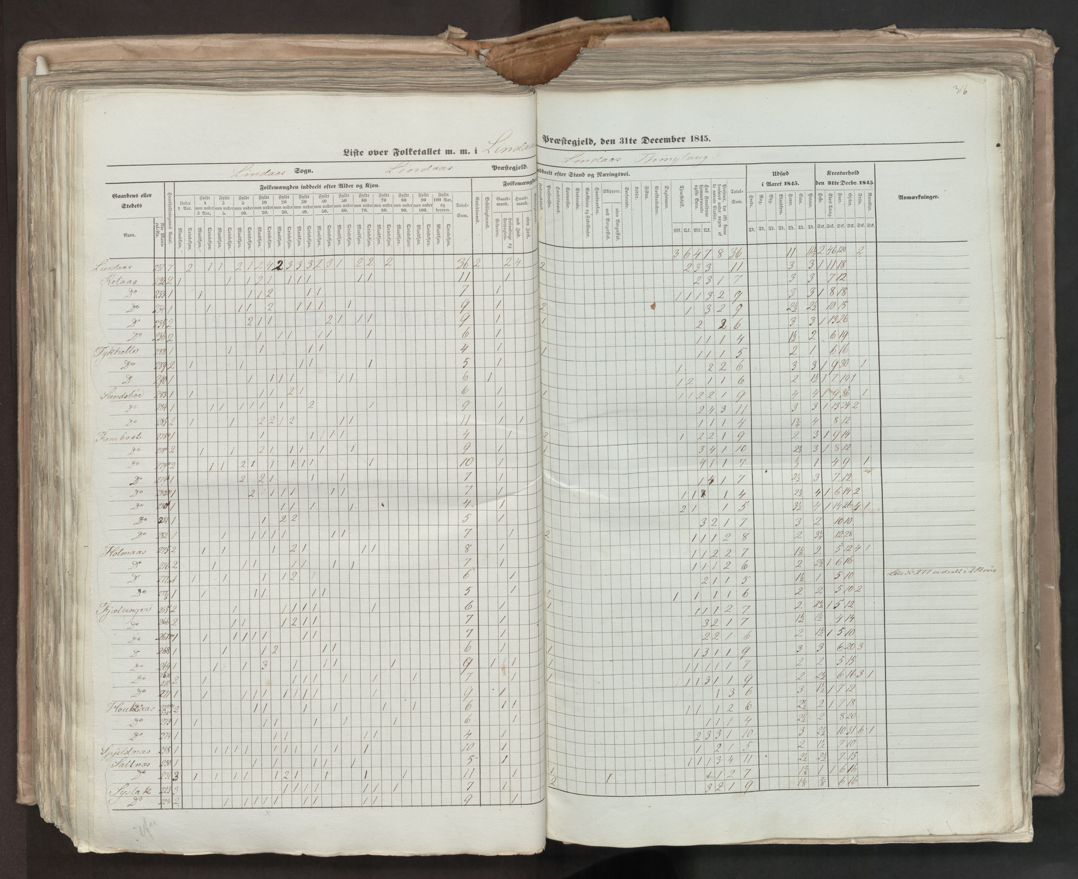 RA, Census 1845, vol. 7: Søndre Bergenhus amt og Nordre Bergenhus amt, 1845, p. 316