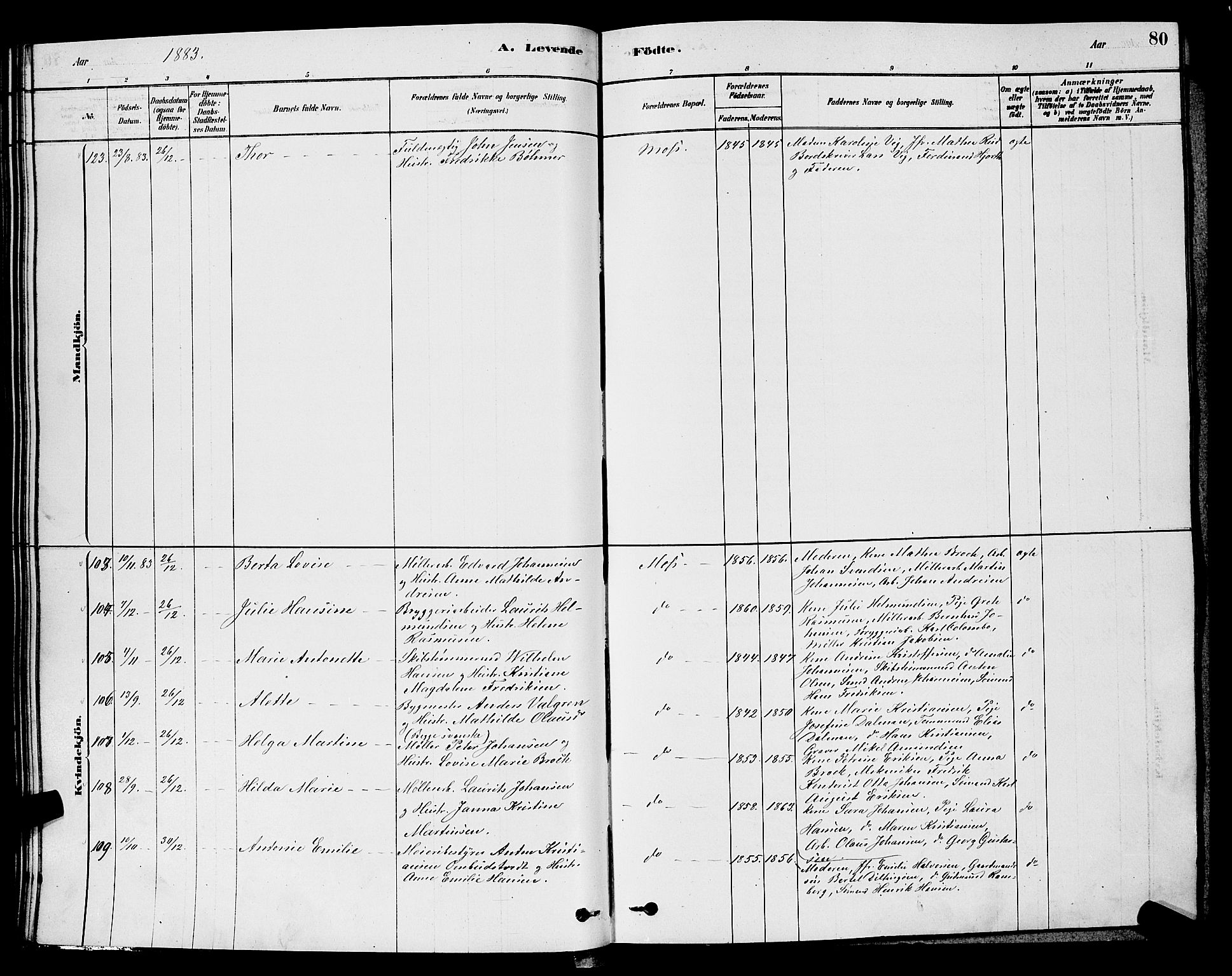 Moss prestekontor Kirkebøker, AV/SAO-A-2003/G/Ga/L0005: Parish register (copy) no. I 5, 1878-1888, p. 80