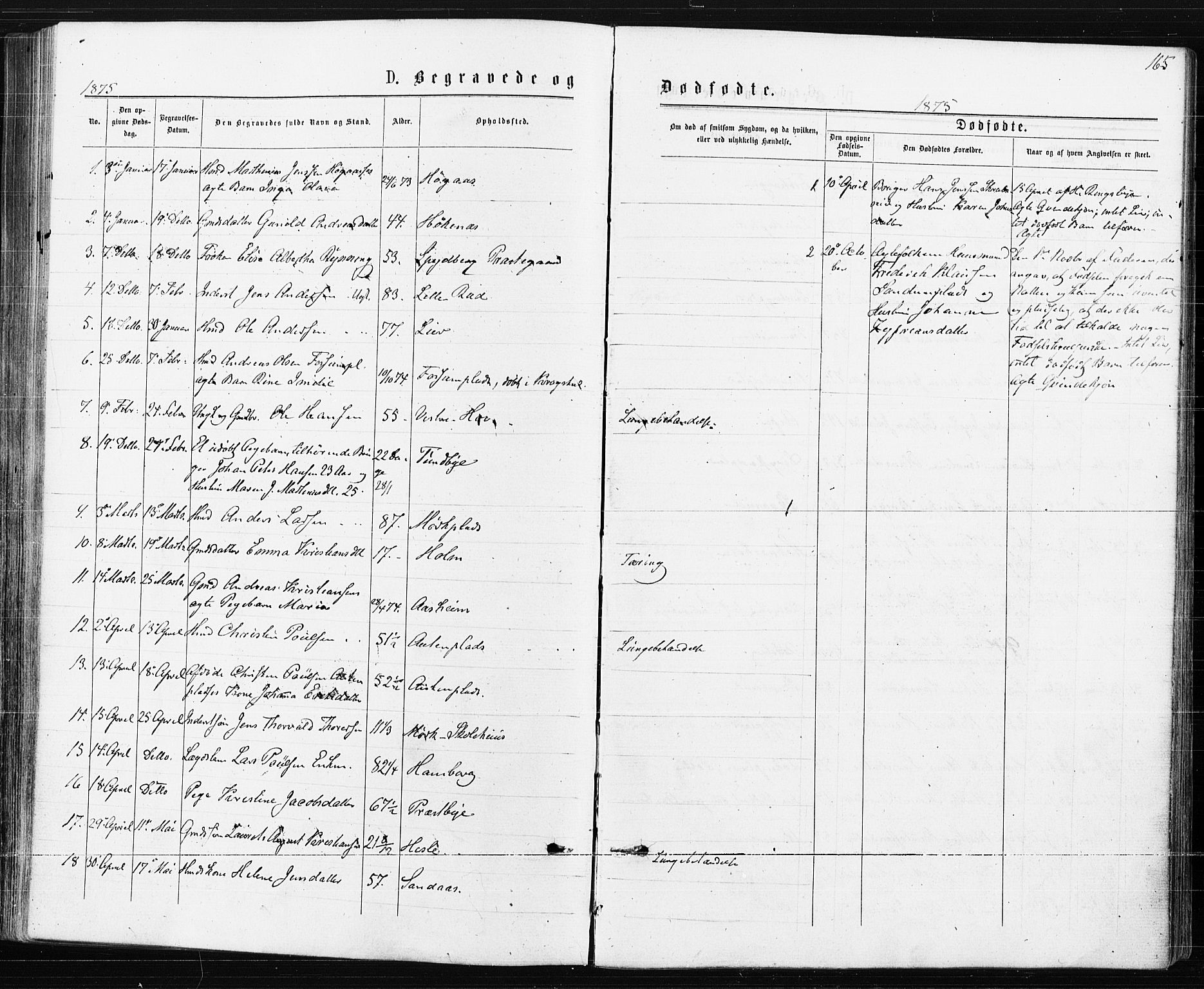 Spydeberg prestekontor Kirkebøker, SAO/A-10924/F/Fa/L0007: Parish register (official) no. I 7, 1875-1885, p. 165