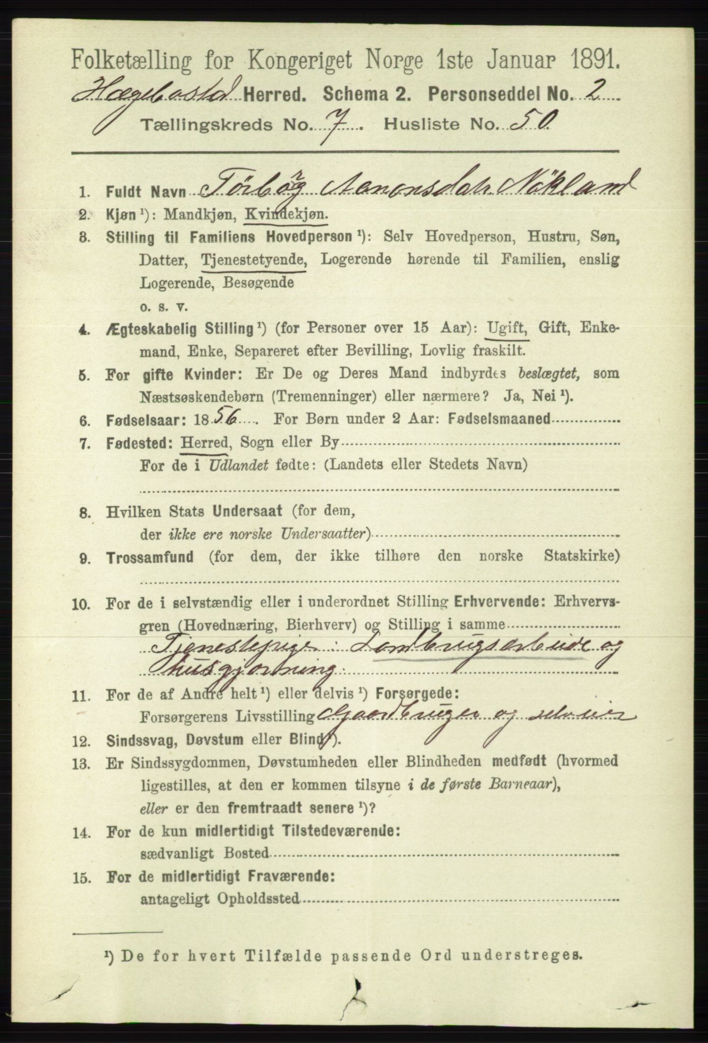 RA, 1891 census for 1034 Hægebostad, 1891, p. 2414