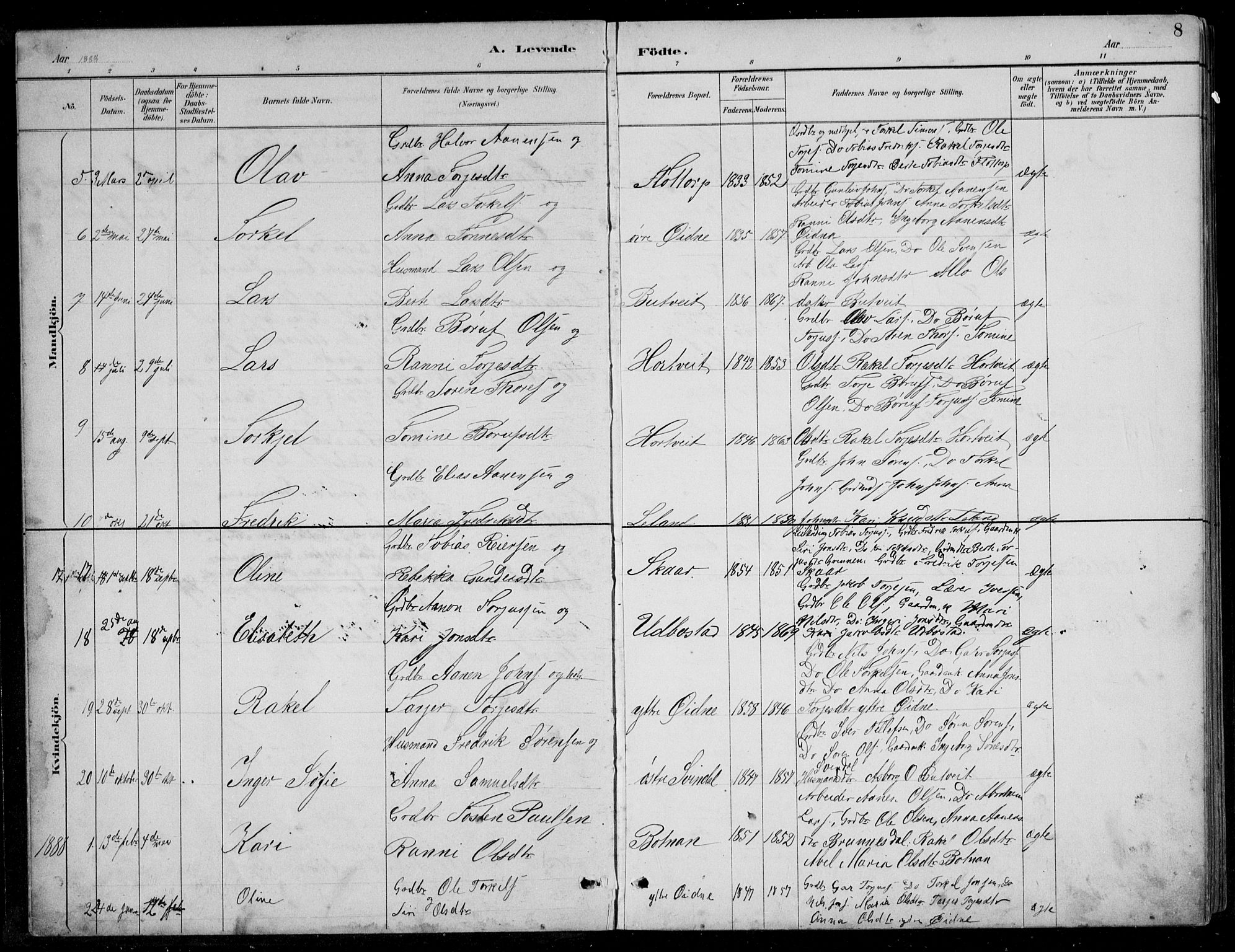 Bjelland sokneprestkontor, SAK/1111-0005/F/Fb/Fbc/L0003: Parish register (copy) no. B 3, 1887-1924, p. 8
