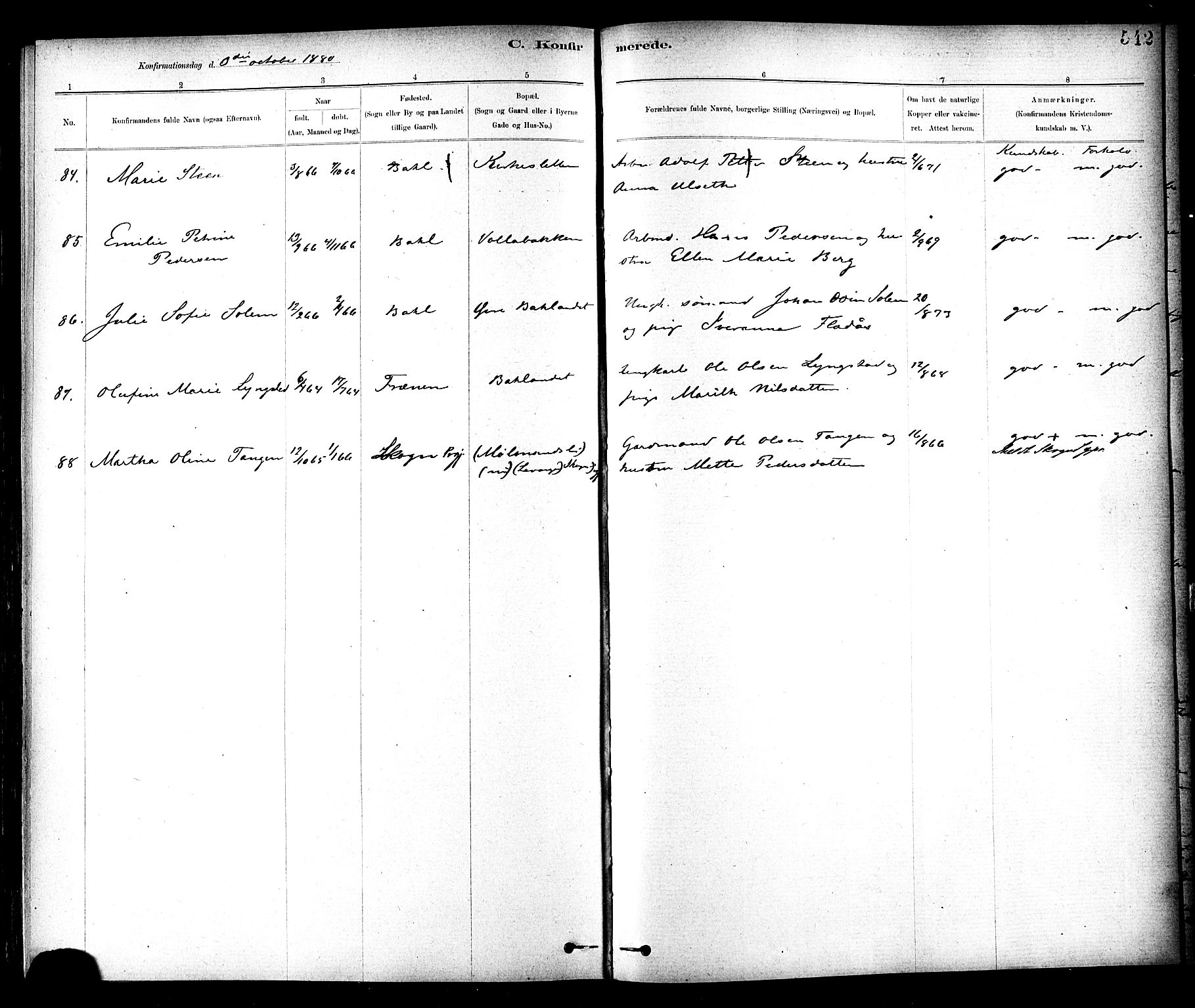 Ministerialprotokoller, klokkerbøker og fødselsregistre - Sør-Trøndelag, AV/SAT-A-1456/604/L0188: Parish register (official) no. 604A09, 1878-1892, p. 542