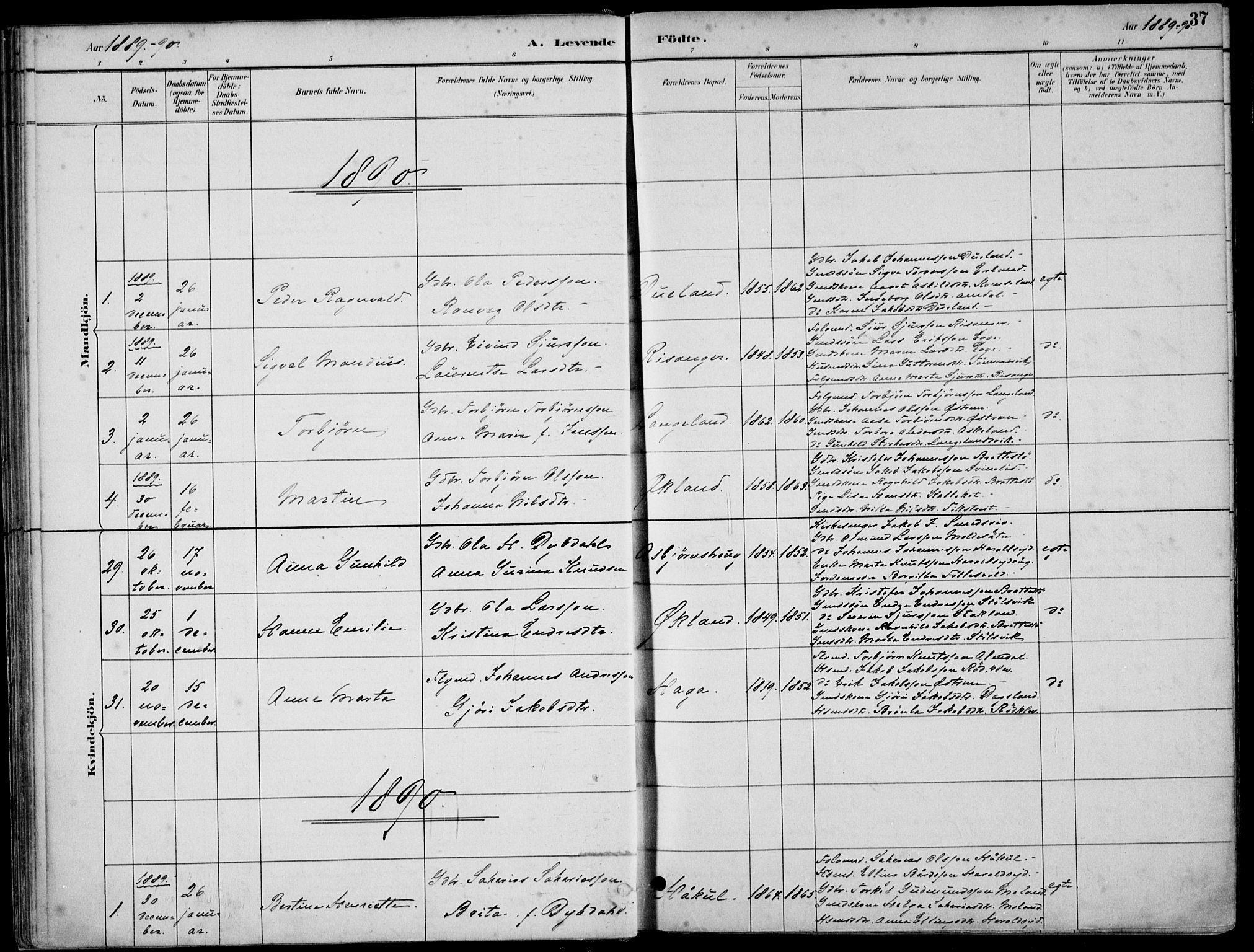 Skjold sokneprestkontor, SAST/A-101847/H/Ha/Haa/L0010: Parish register (official) no. A 10, 1882-1897, p. 37
