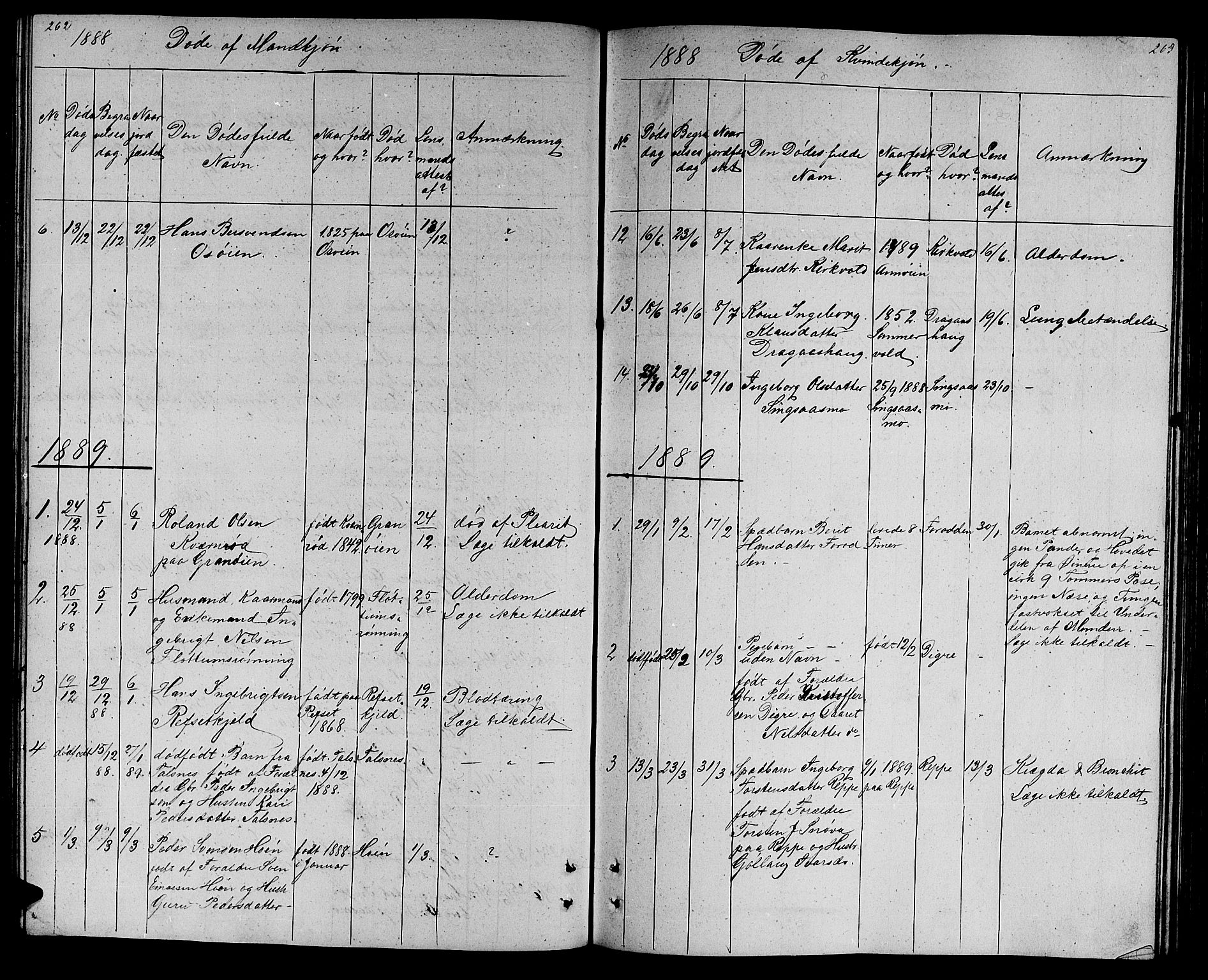 Ministerialprotokoller, klokkerbøker og fødselsregistre - Sør-Trøndelag, AV/SAT-A-1456/688/L1027: Parish register (copy) no. 688C02, 1861-1889, p. 262-263