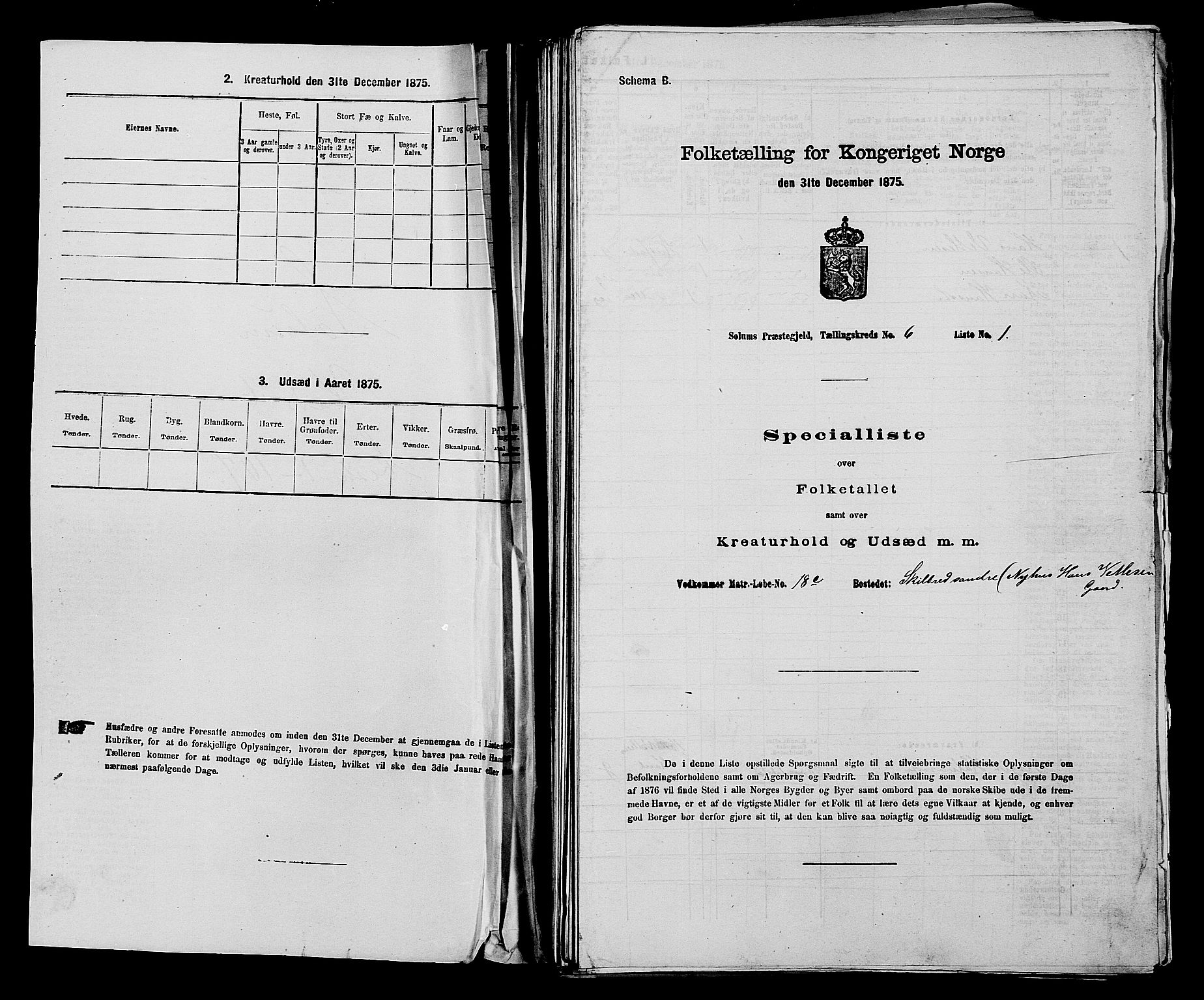 SAKO, 1875 census for 0818P Solum, 1875, p. 992