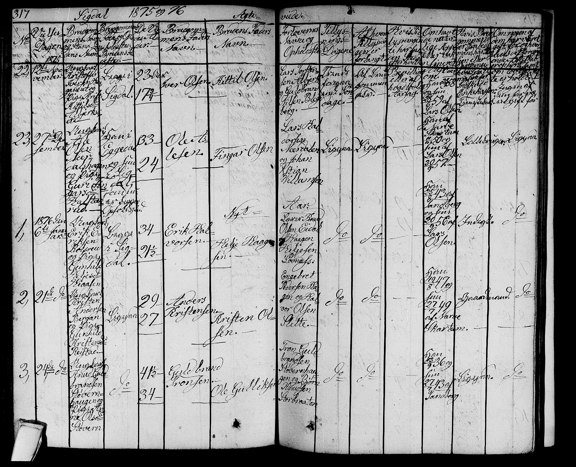 Sigdal kirkebøker, AV/SAKO-A-245/G/Ga/L0003: Parish register (copy) no. I 3, 1857-1878, p. 317