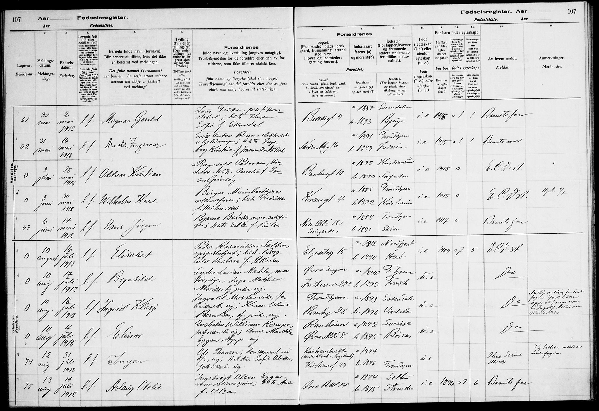 Ministerialprotokoller, klokkerbøker og fødselsregistre - Sør-Trøndelag, AV/SAT-A-1456/604/L0232: Birth register no. 604.II.4.1, 1916-1920, p. 107