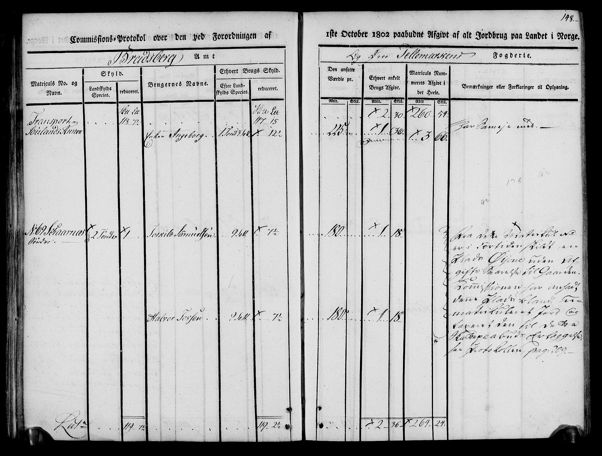 Rentekammeret inntil 1814, Realistisk ordnet avdeling, AV/RA-EA-4070/N/Ne/Nea/L0074: Øvre Telemarken fogderi. Kommisjonsprotokoll for fogderiets østre del - Tinn, Hjartdal og Seljord prestegjeld., 1803, p. 148