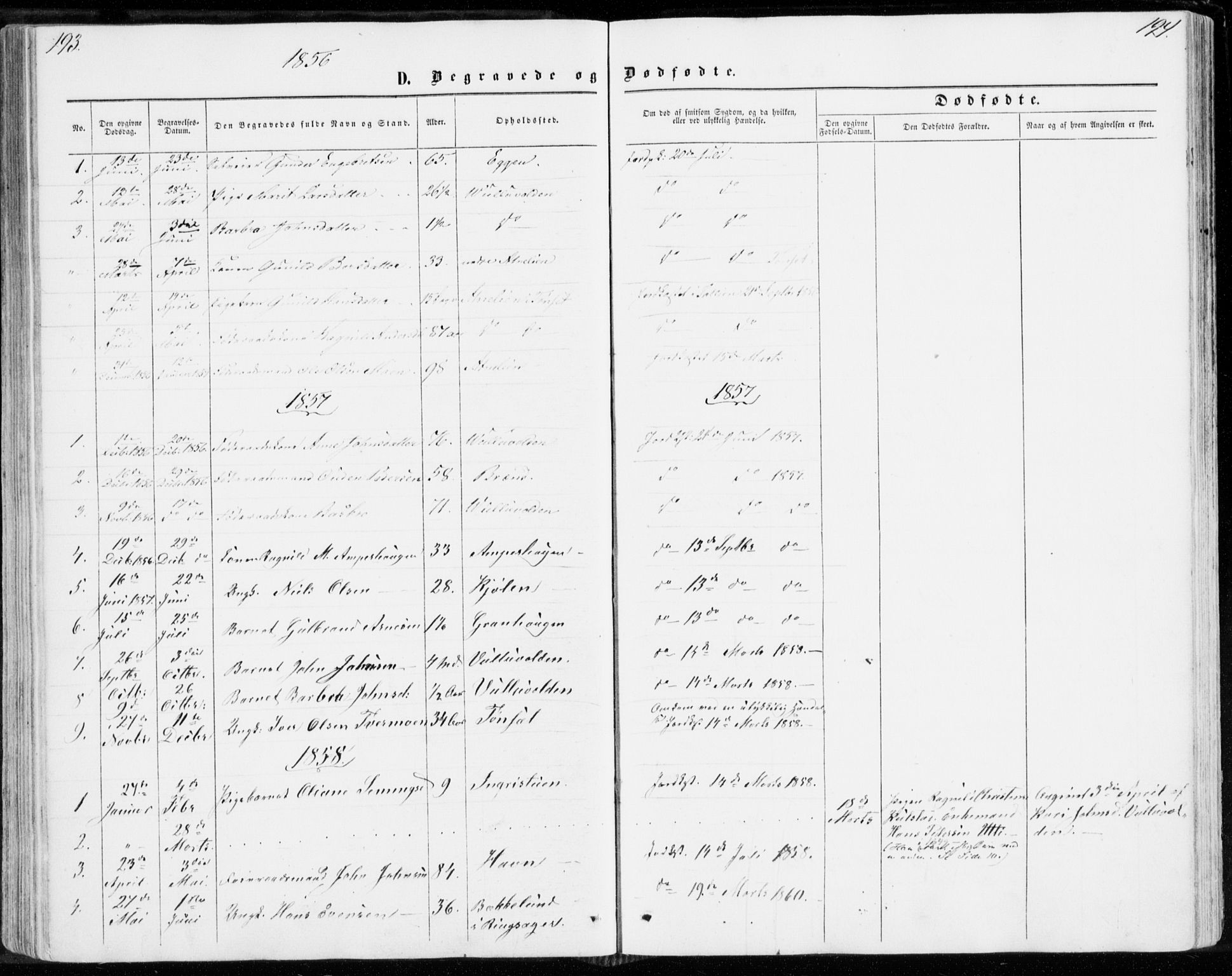 Sollia prestekontor, SAH/PREST-050/H/Ha/Haa/L0001: Parish register (official) no. 1, 1856-1885, p. 193-194