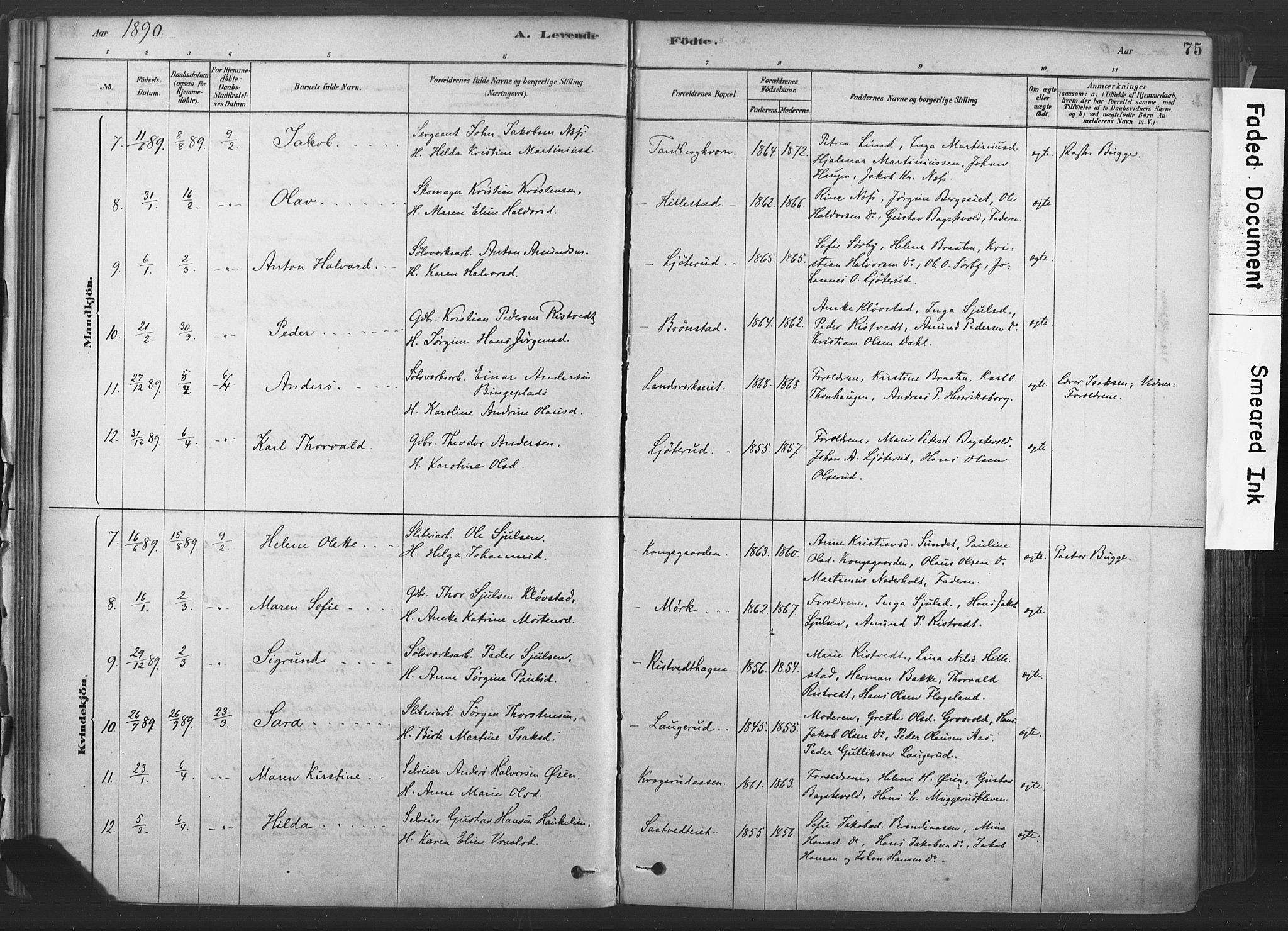 Sandsvær kirkebøker, SAKO/A-244/F/Fd/L0001: Parish register (official) no. IV 1, 1878-1906, p. 75