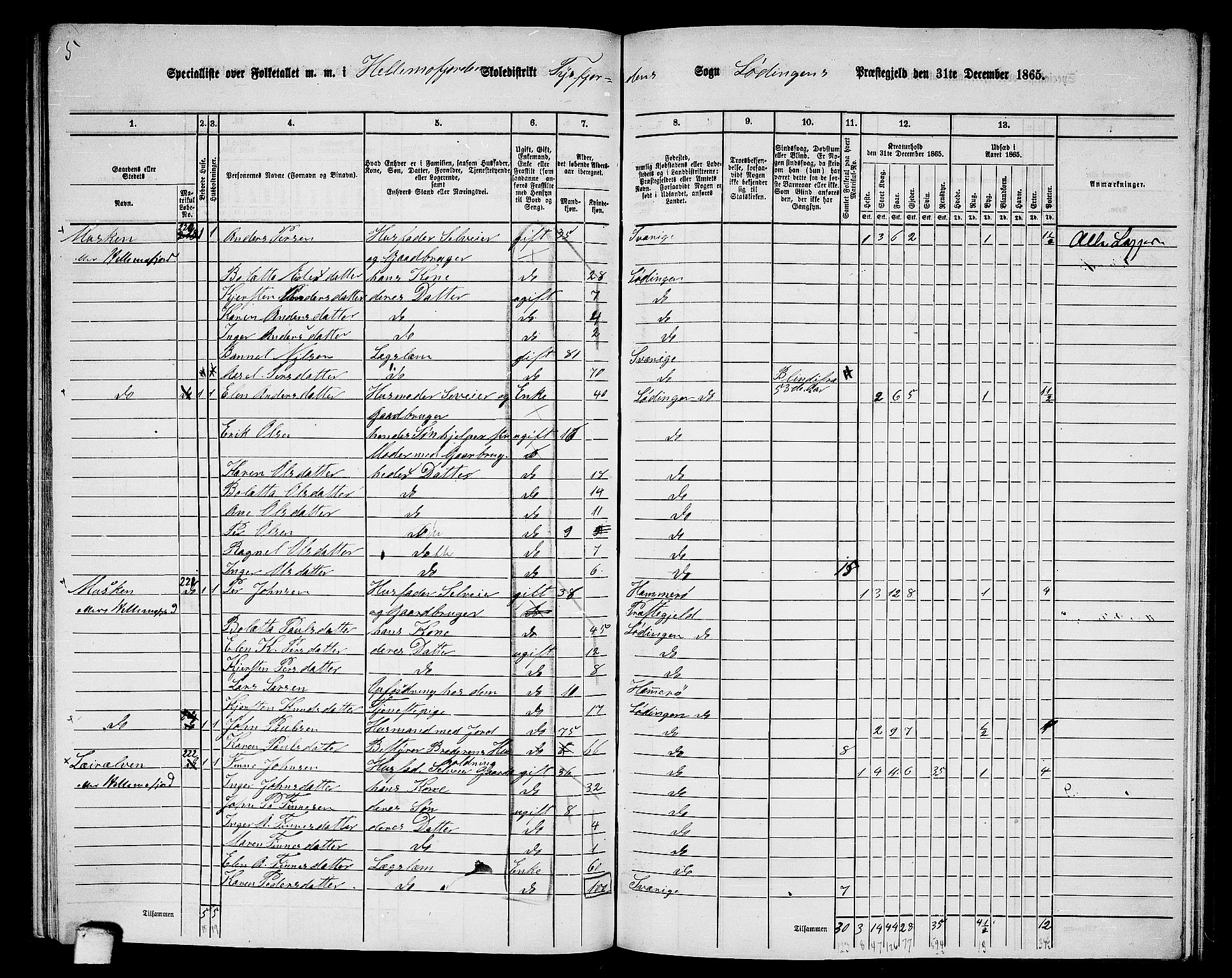 RA, 1865 census for Lødingen, 1865, p. 146