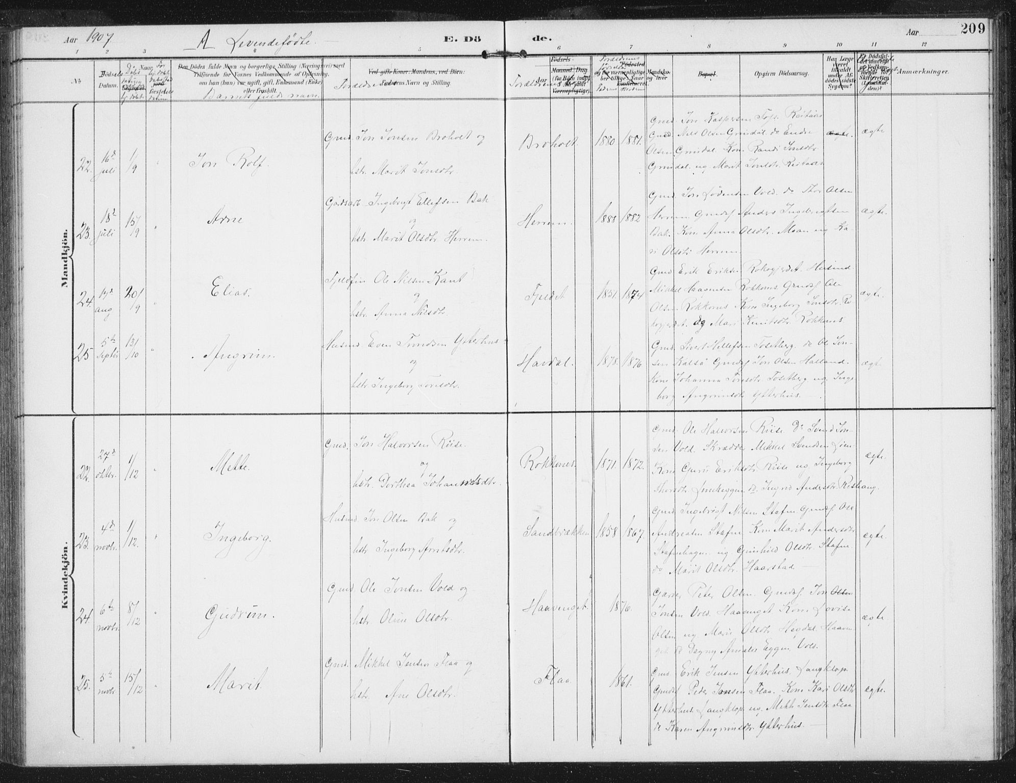 Ministerialprotokoller, klokkerbøker og fødselsregistre - Sør-Trøndelag, AV/SAT-A-1456/674/L0872: Parish register (official) no. 674A04, 1897-1907, p. 209