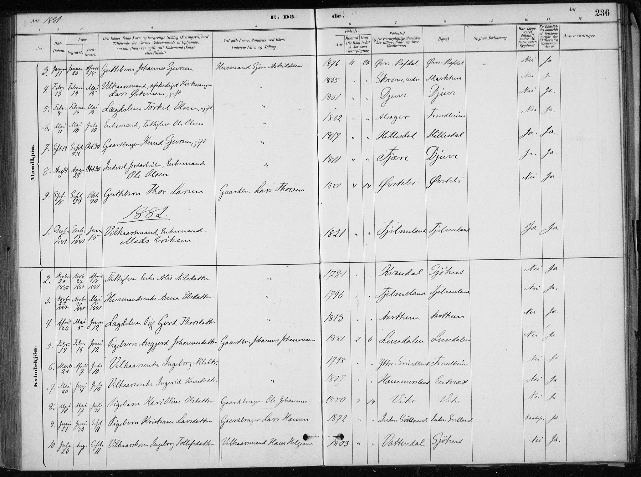 Skånevik sokneprestembete, SAB/A-77801/H/Haa: Parish register (official) no. E  1, 1879-1901, p. 236