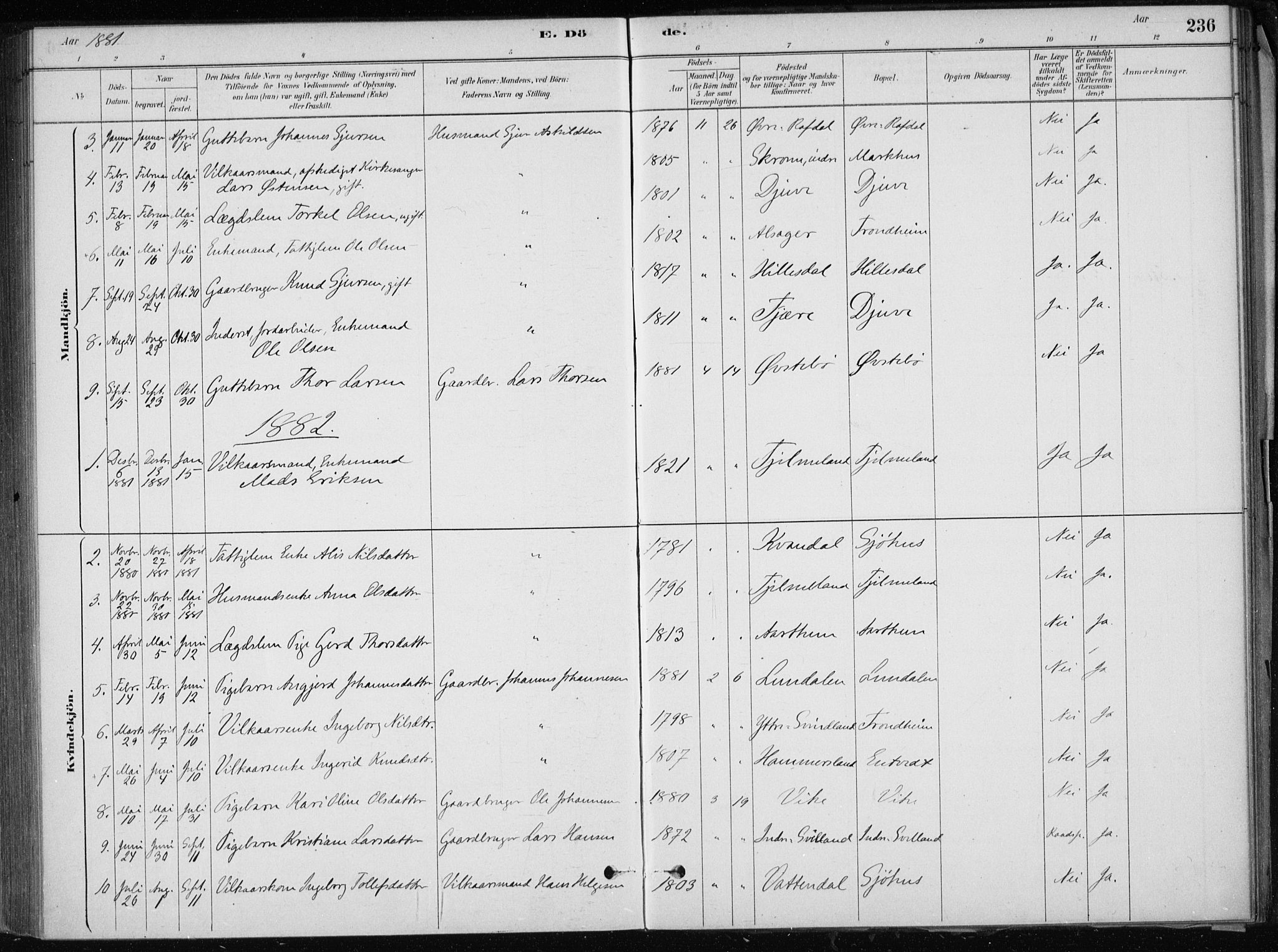 Skånevik sokneprestembete, AV/SAB-A-77801/H/Haa: Parish register (official) no. E  1, 1879-1901, p. 236