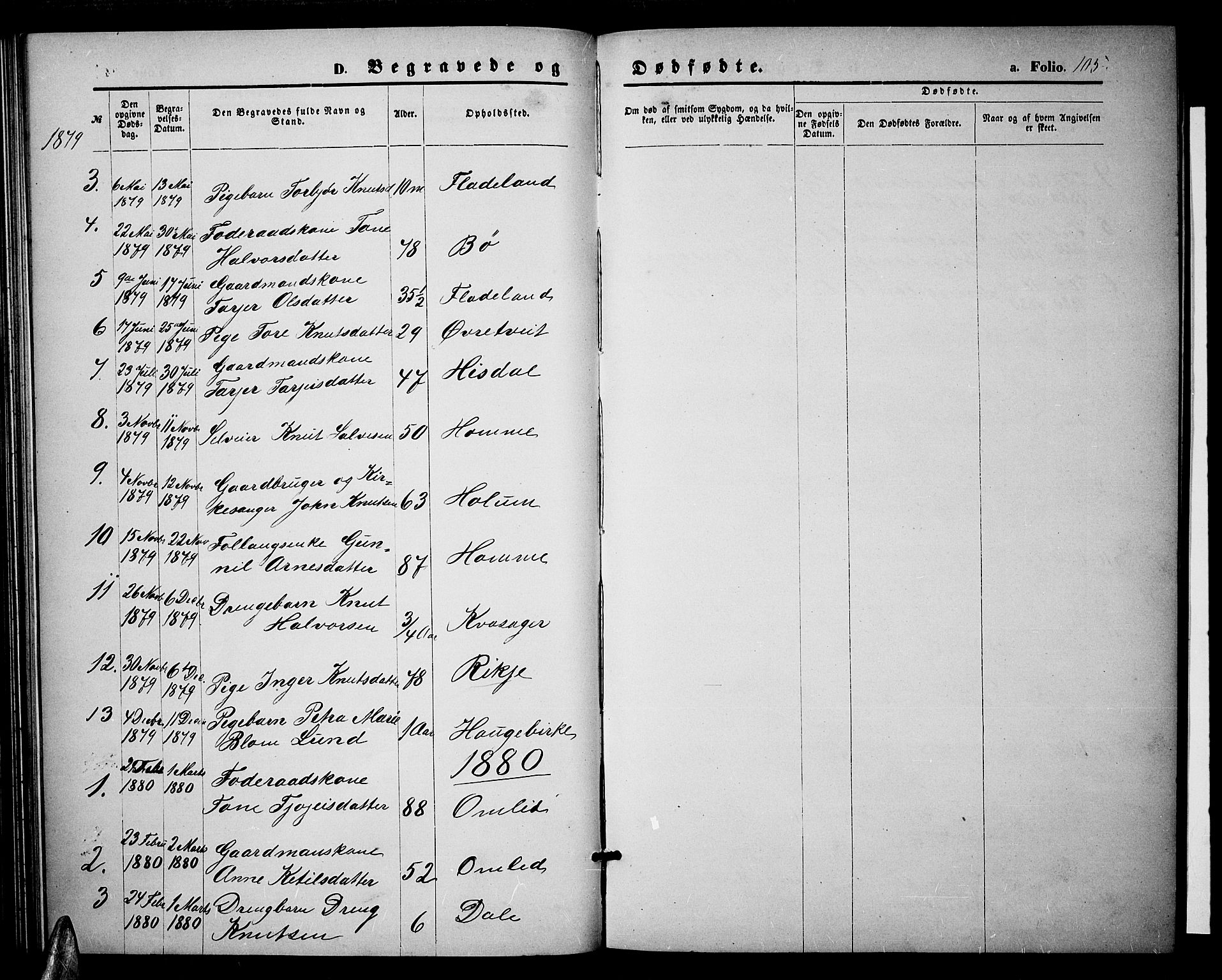 Valle sokneprestkontor, SAK/1111-0044/F/Fb/Fbc/L0003: Parish register (copy) no. B 3, 1871-1890, p. 105