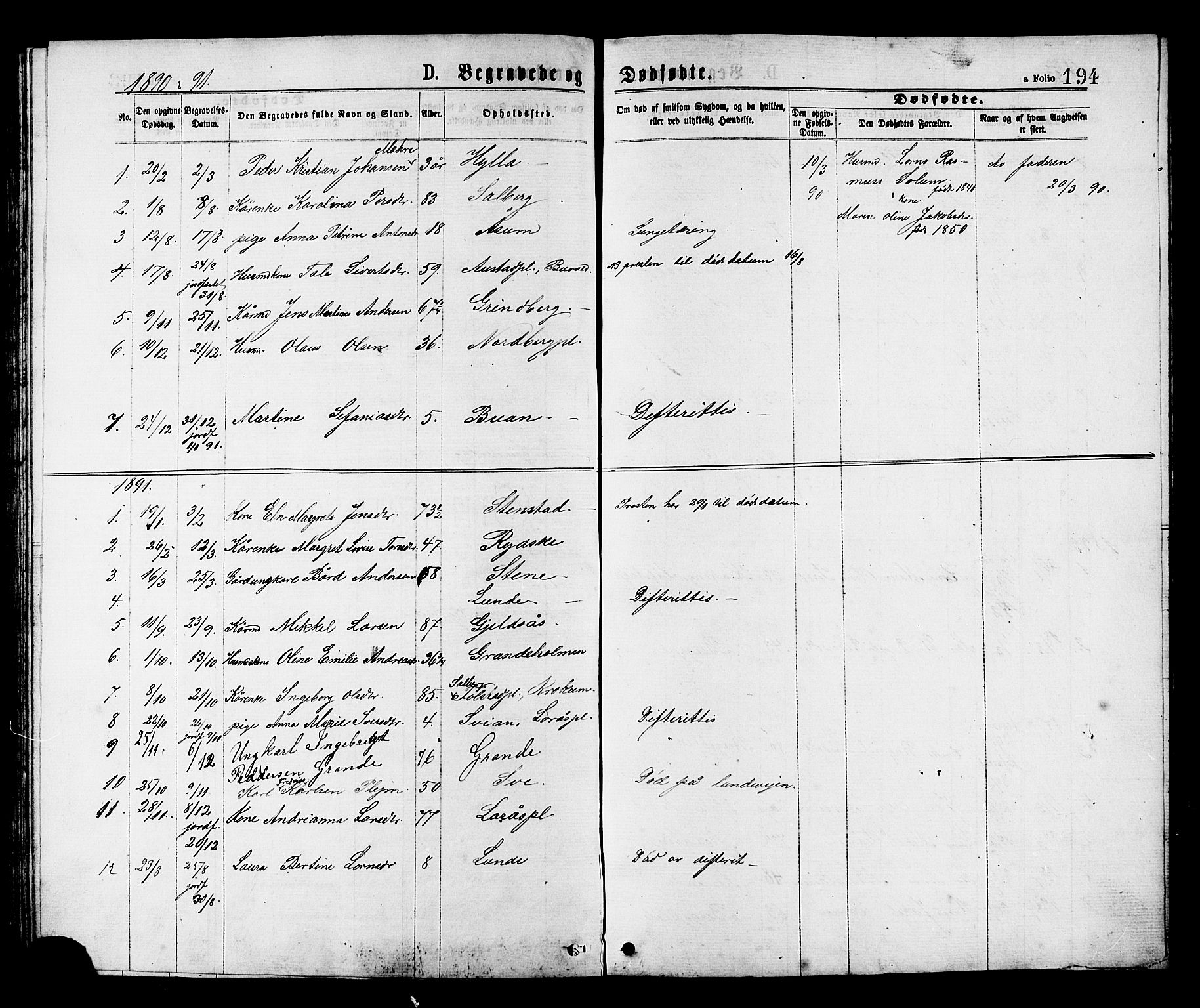 Ministerialprotokoller, klokkerbøker og fødselsregistre - Nord-Trøndelag, SAT/A-1458/731/L0311: Parish register (copy) no. 731C02, 1875-1911, p. 194